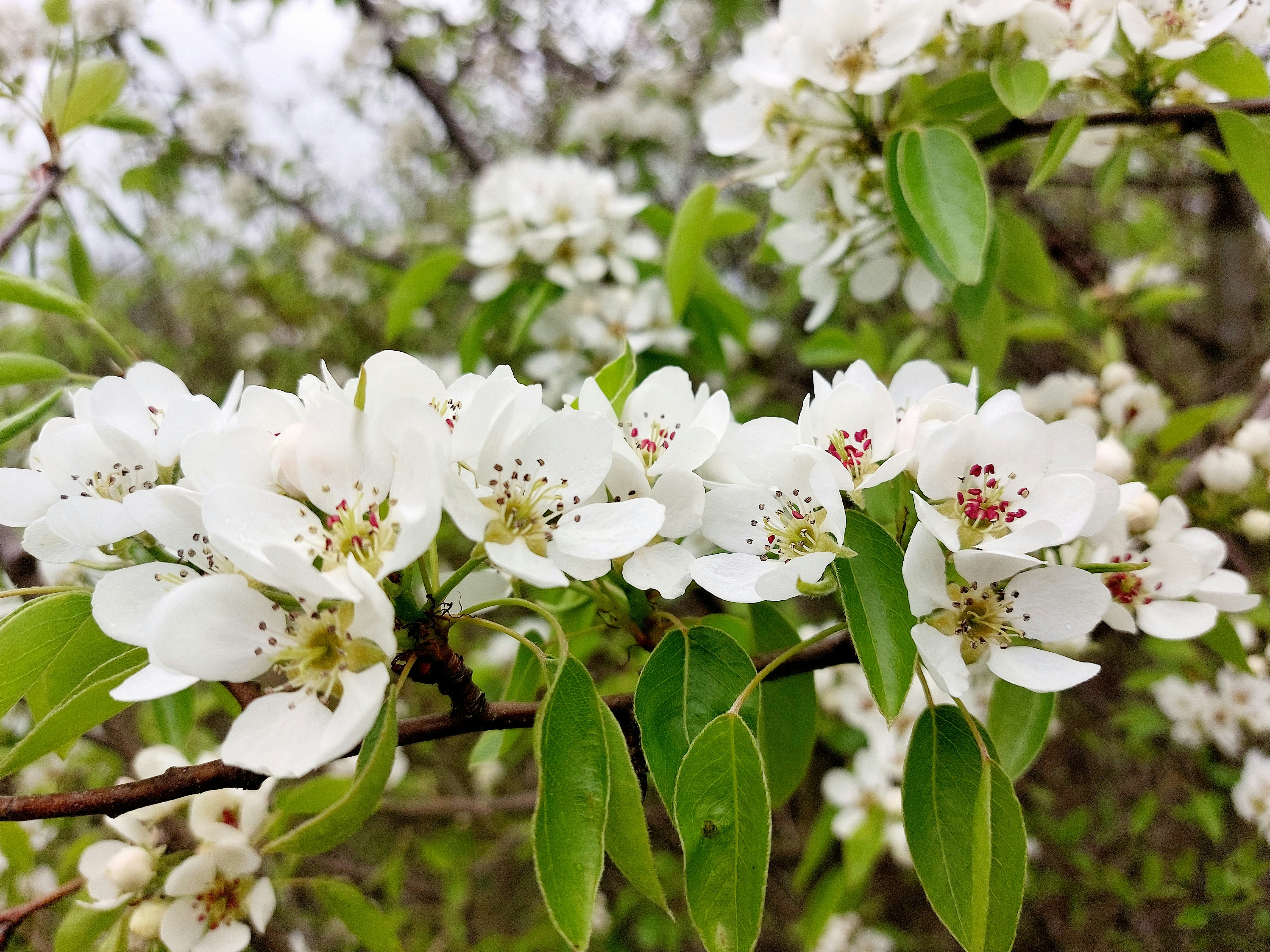 Photo by purple_iris