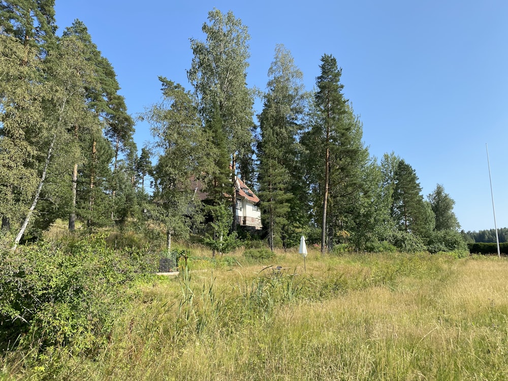 a house in the middle of a field surrounded by trees