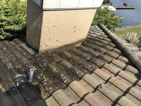 mold developing on roof of house from roof leak