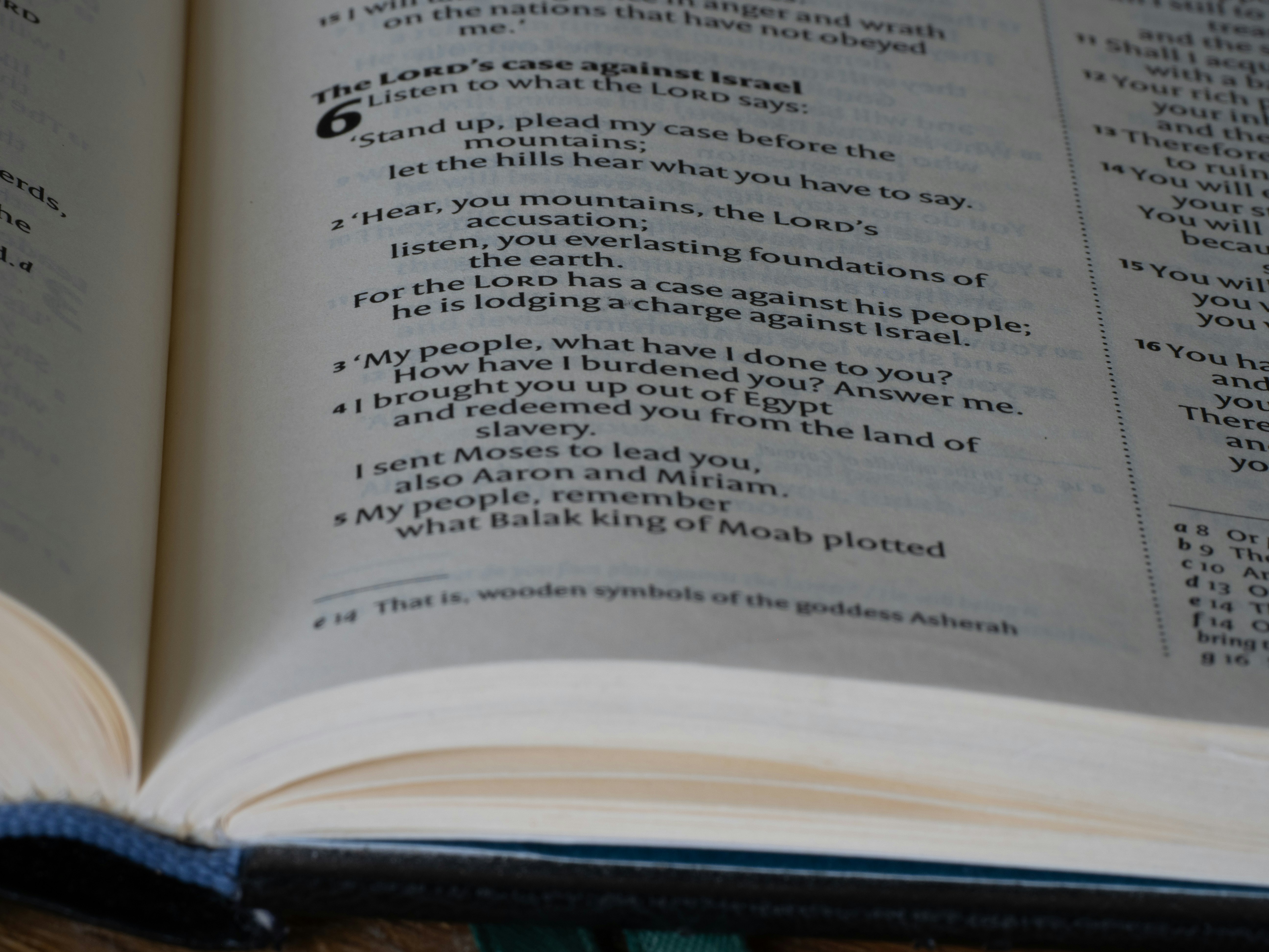 Photo by brett_jordan