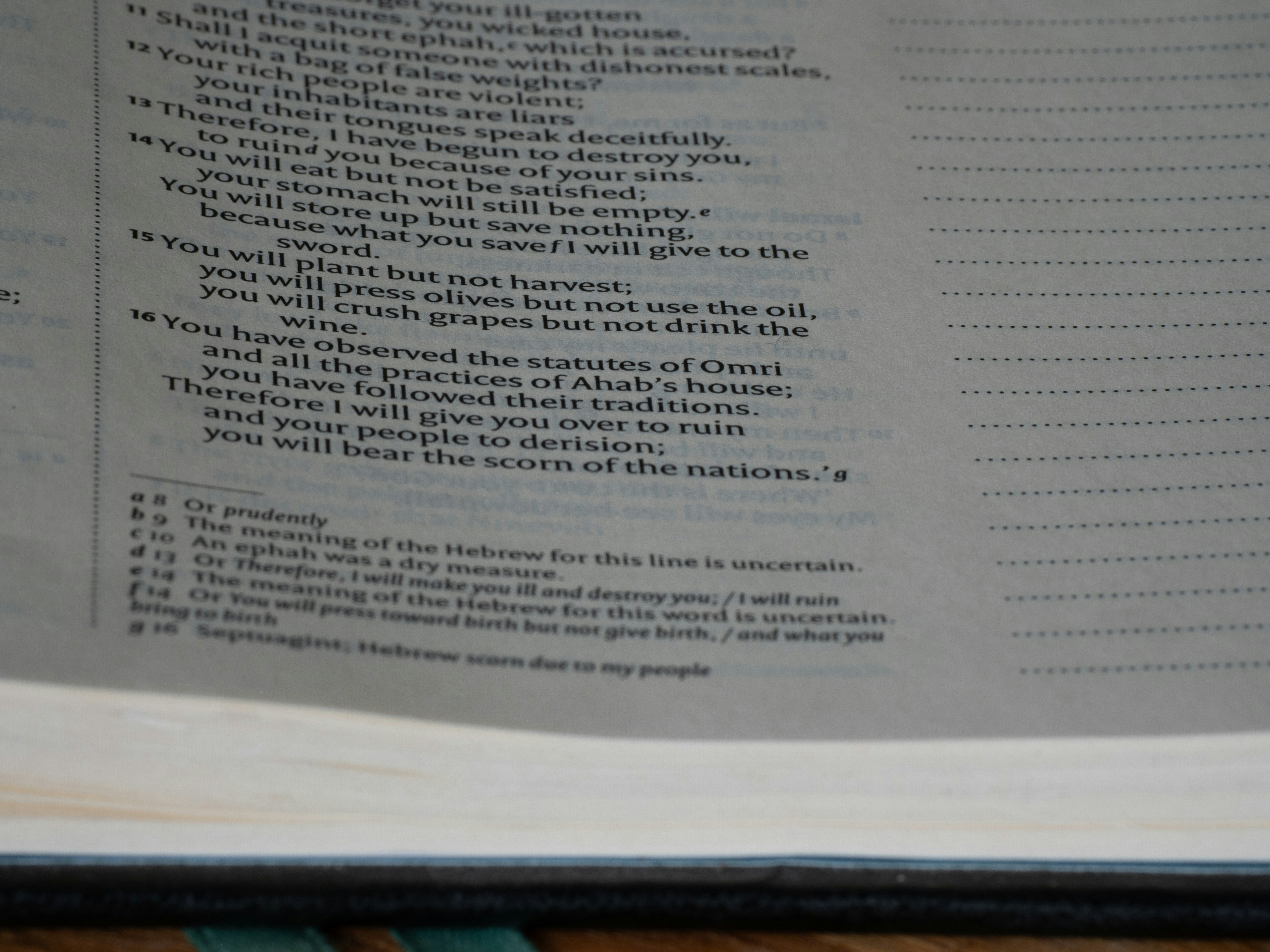 Photo by brett_jordan