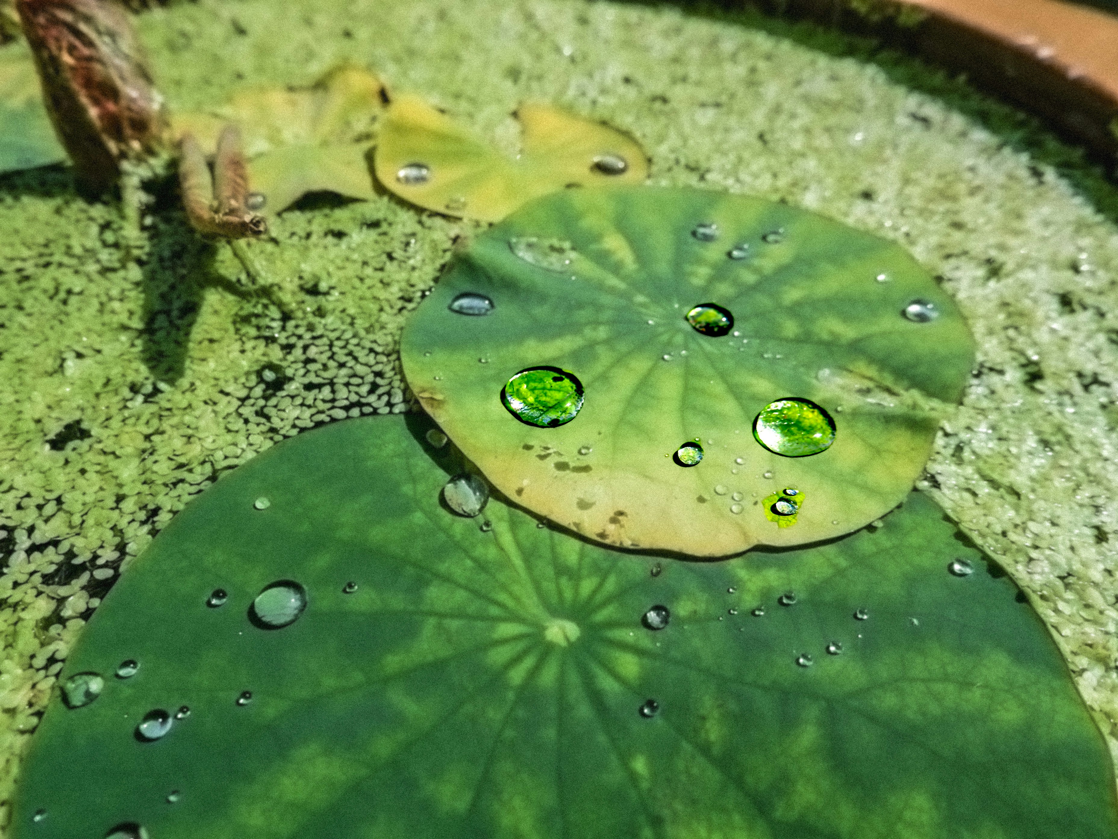 Photo by 365_new_chances