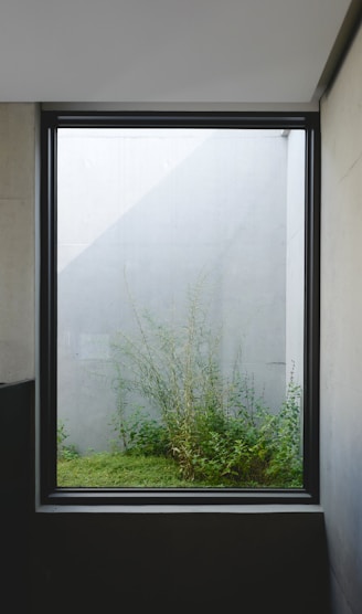 a window that has a plant in it