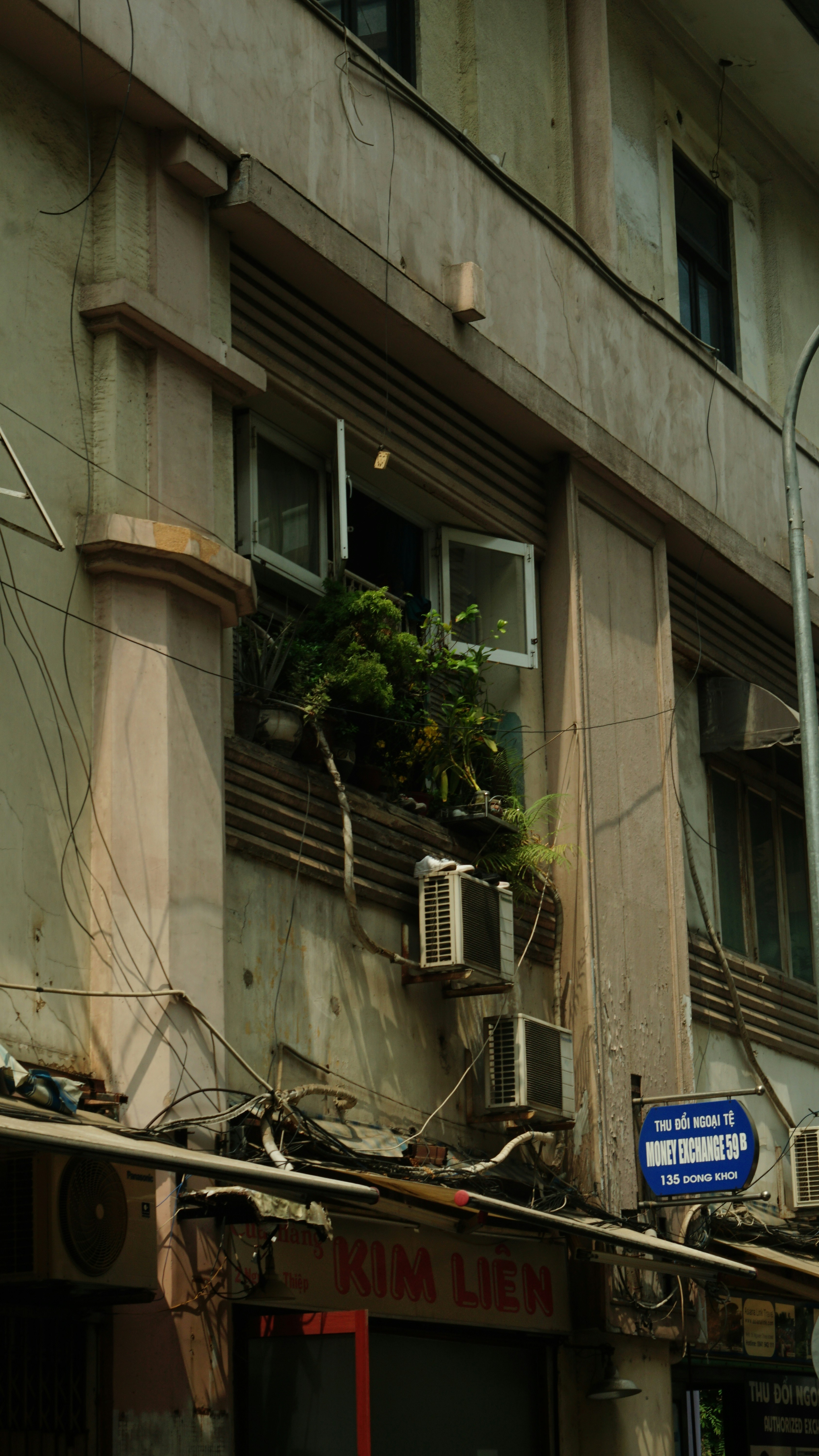 a building with a bunch of plants growing out of it