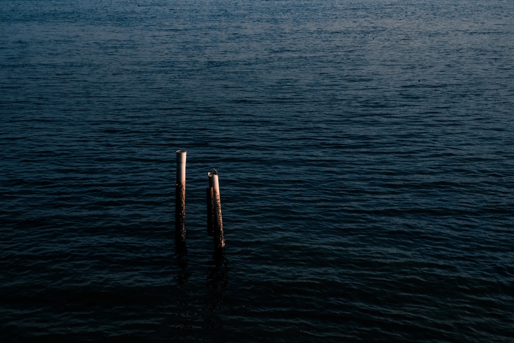 Dos postes de madera que sobresalen del agua