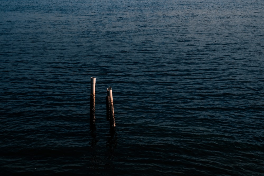 two wooden posts sticking out of the water