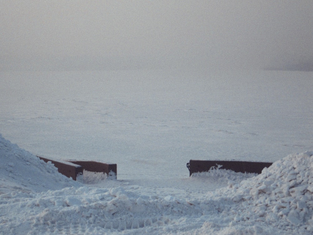 a couple of cows standing in the middle of a snow covered field