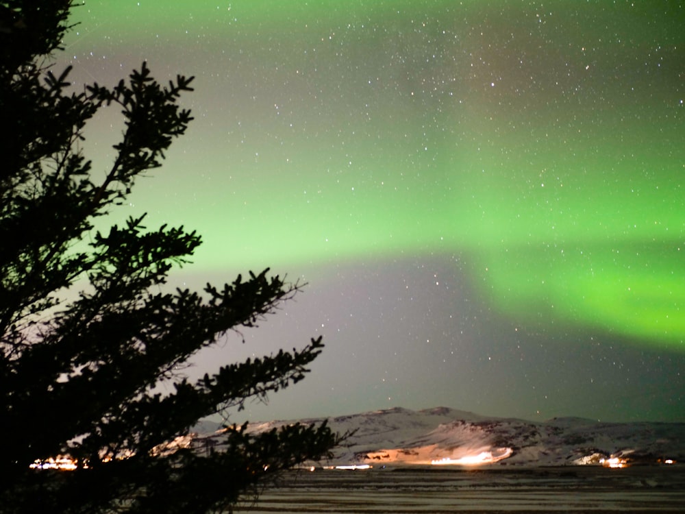 a green and yellow aurora bore in the sky