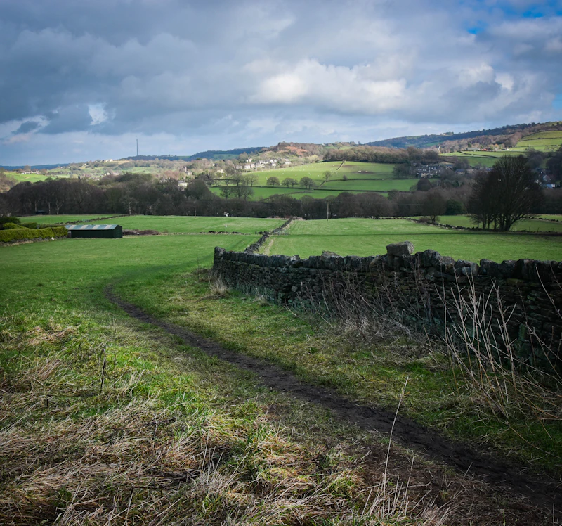 Building Plot — Bolton Abbey Road
