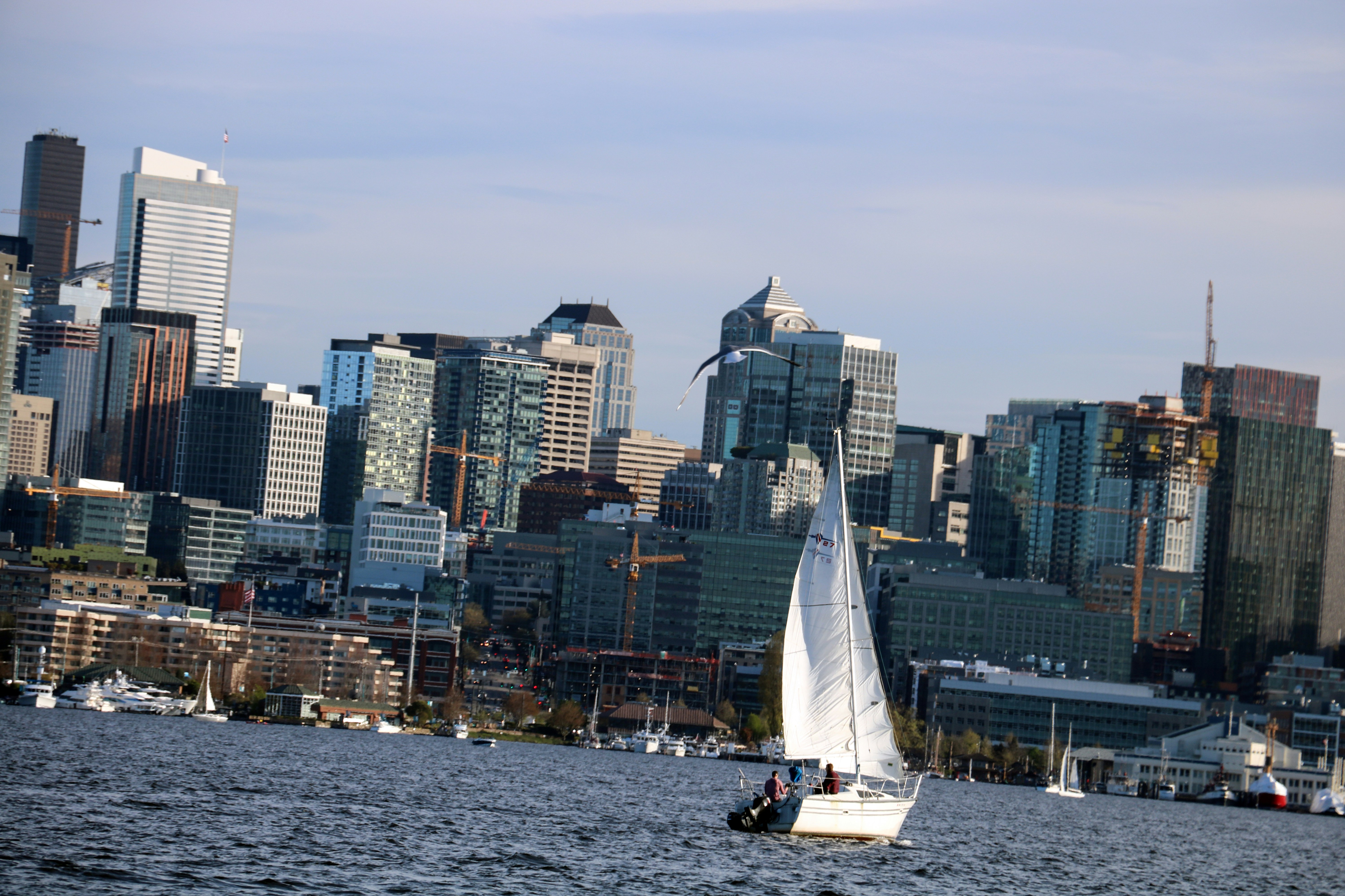 a sailboat in a body of water with a city in the background