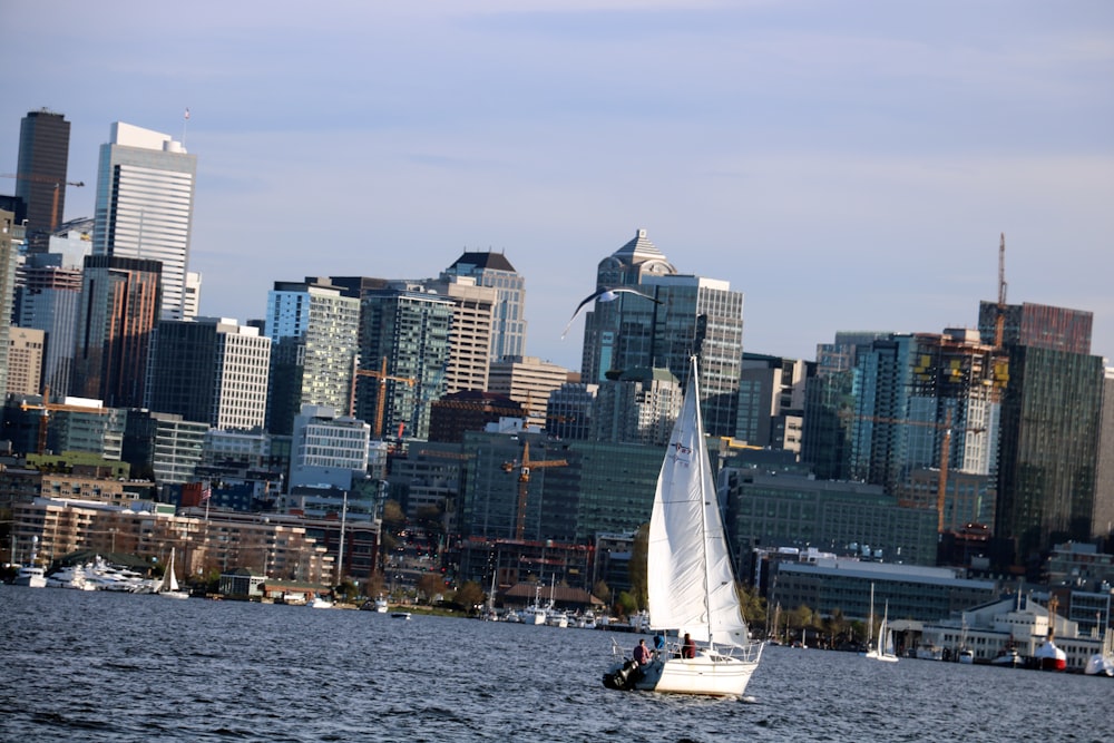 a sailboat in a body of water with a city in the background