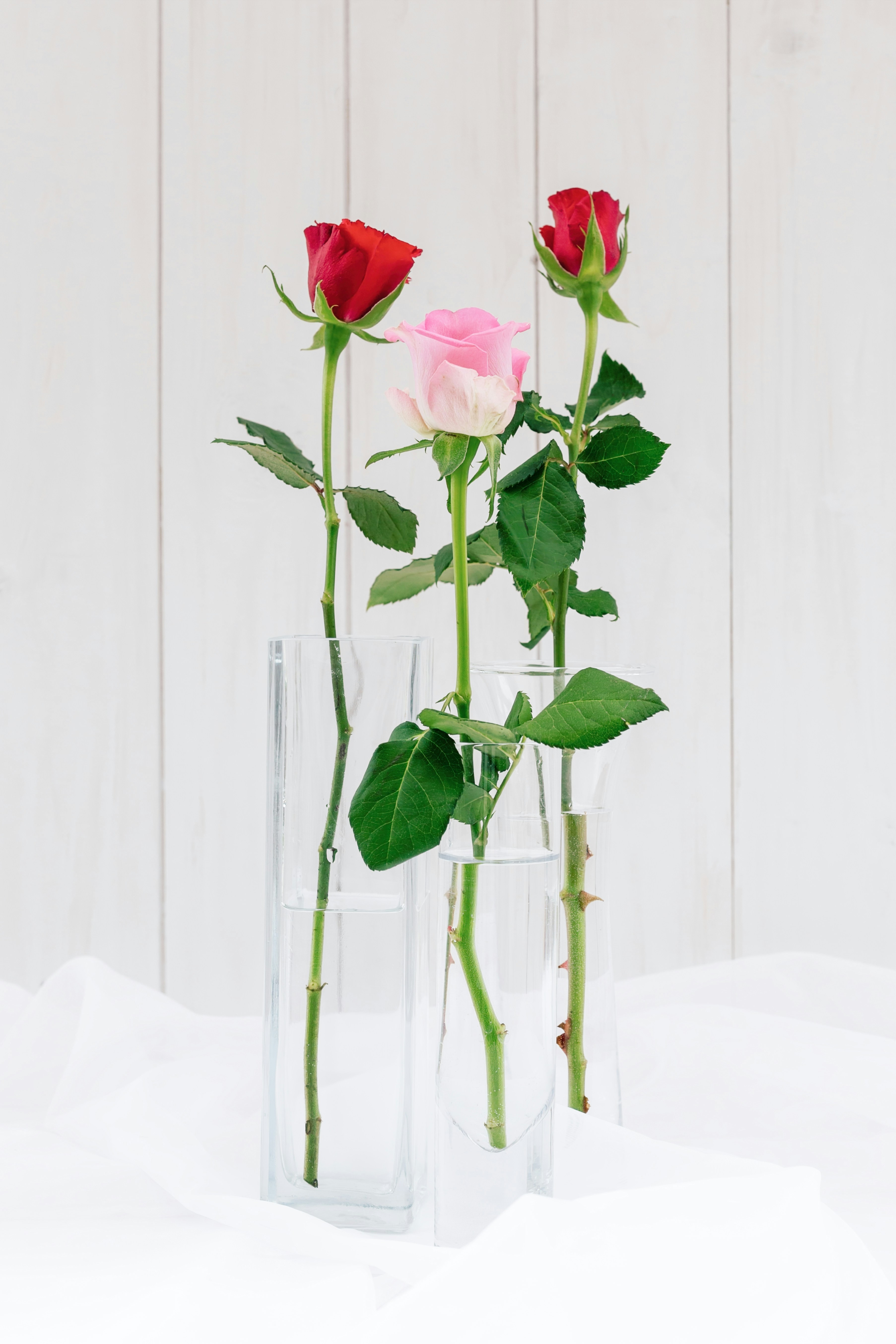 Photo by nataliekinnear