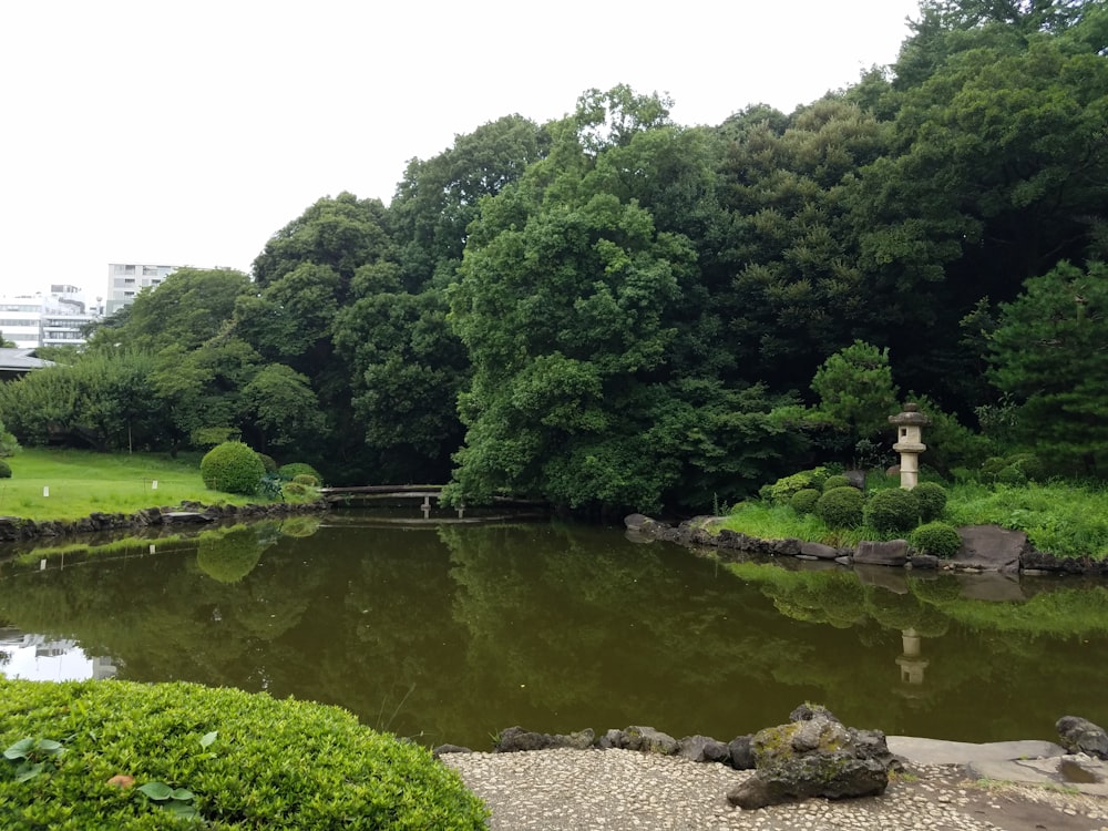 a pond in a park surrounded by trees