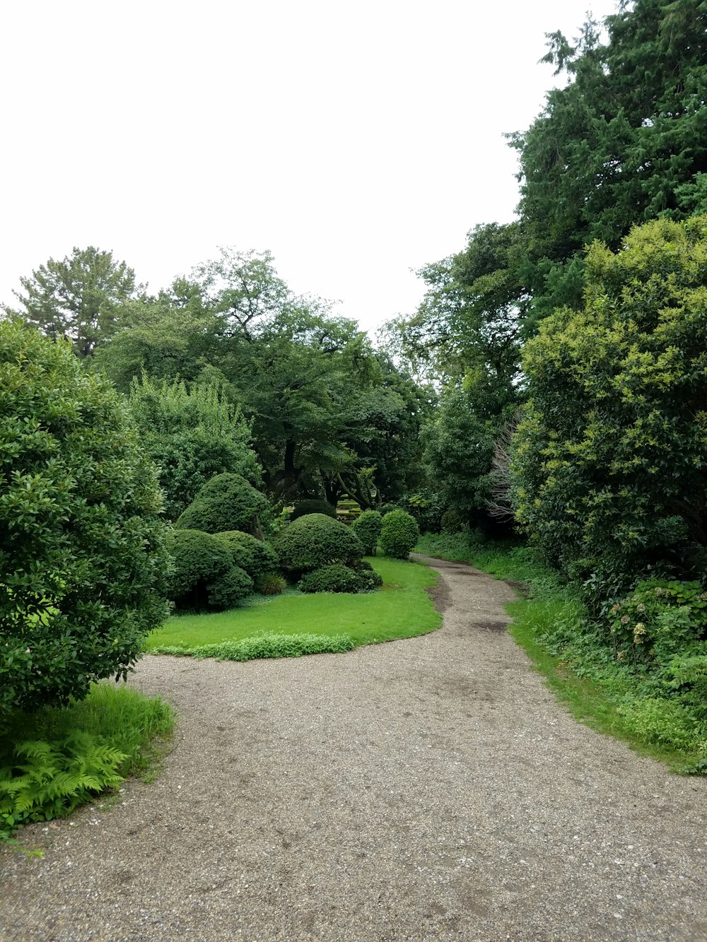 a gravel road surrounded by trees and bushes