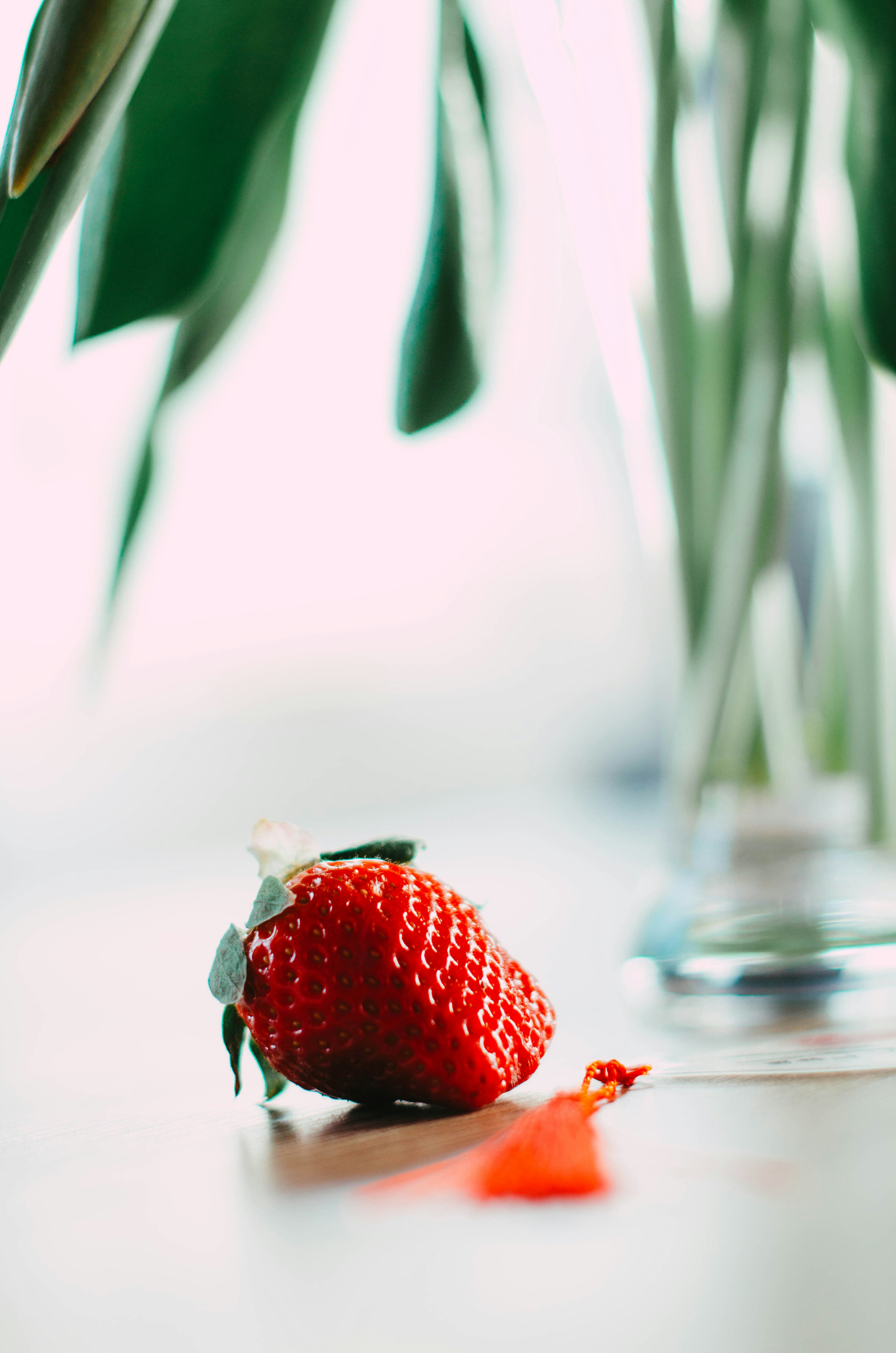 Photo by nika_benedictova