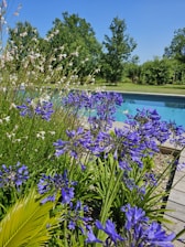 a wooden deck next to a pool surrounded by purple flowers