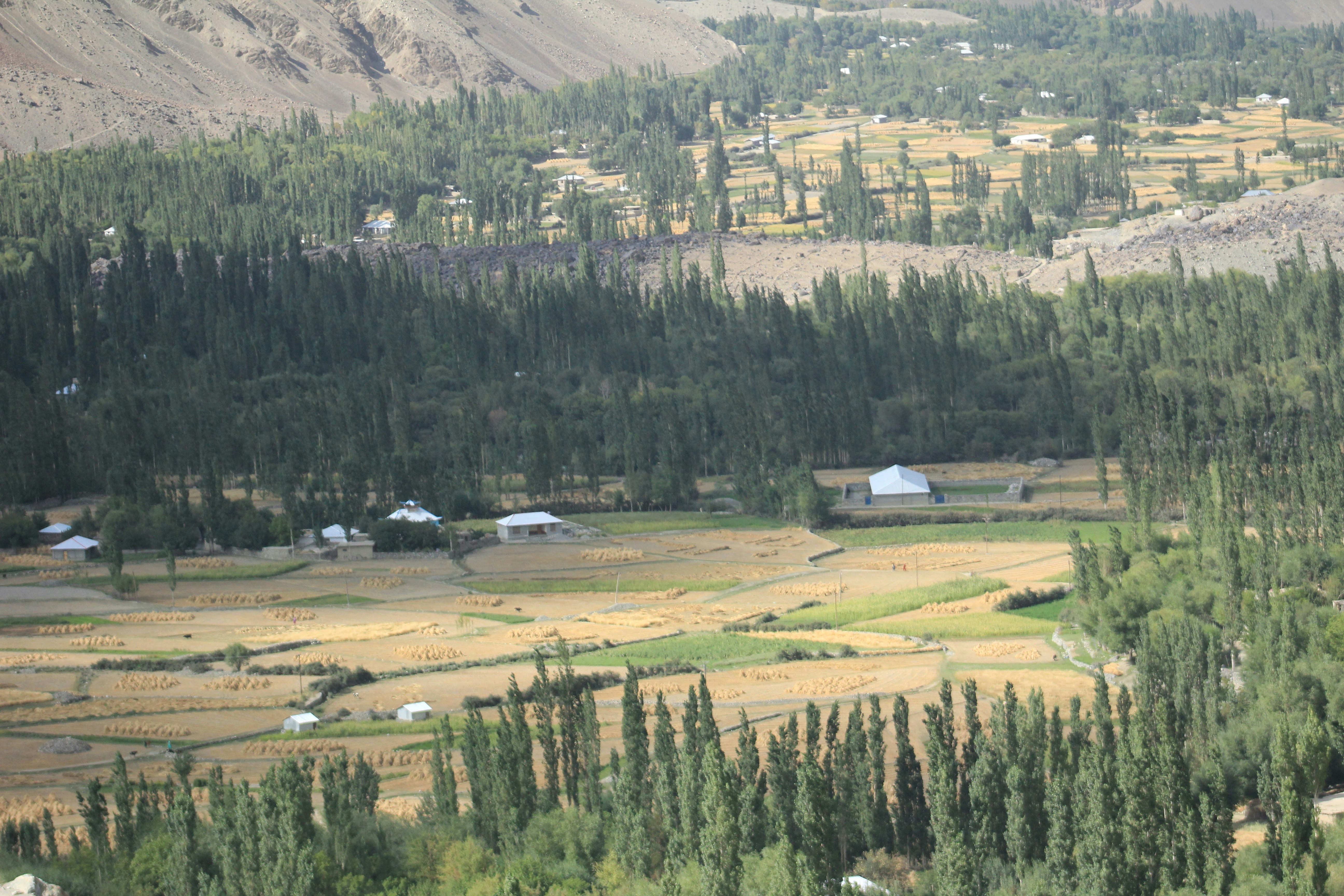 a view of a valley with trees and mountains in the background