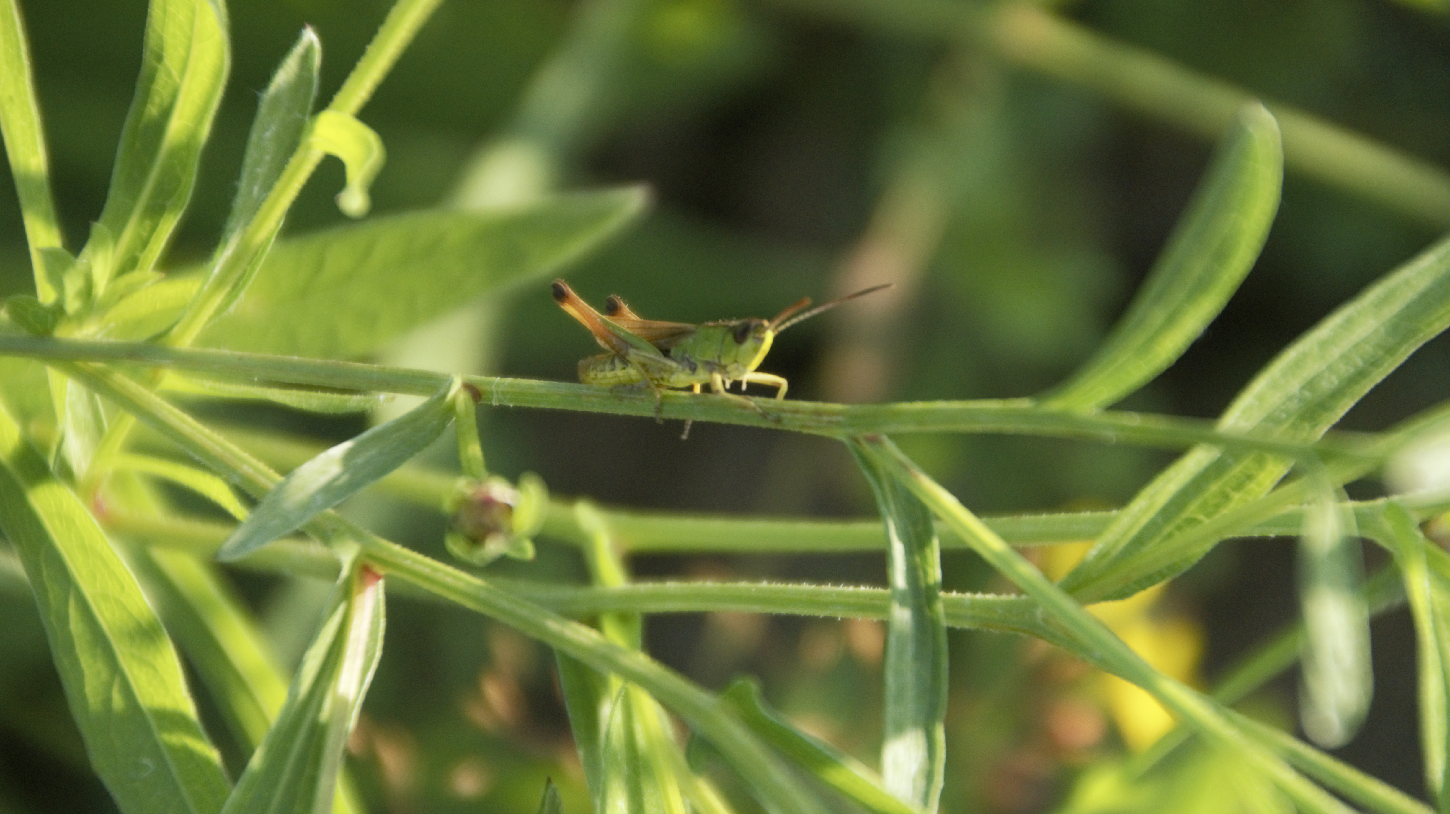 Photo by oldcrowpictures