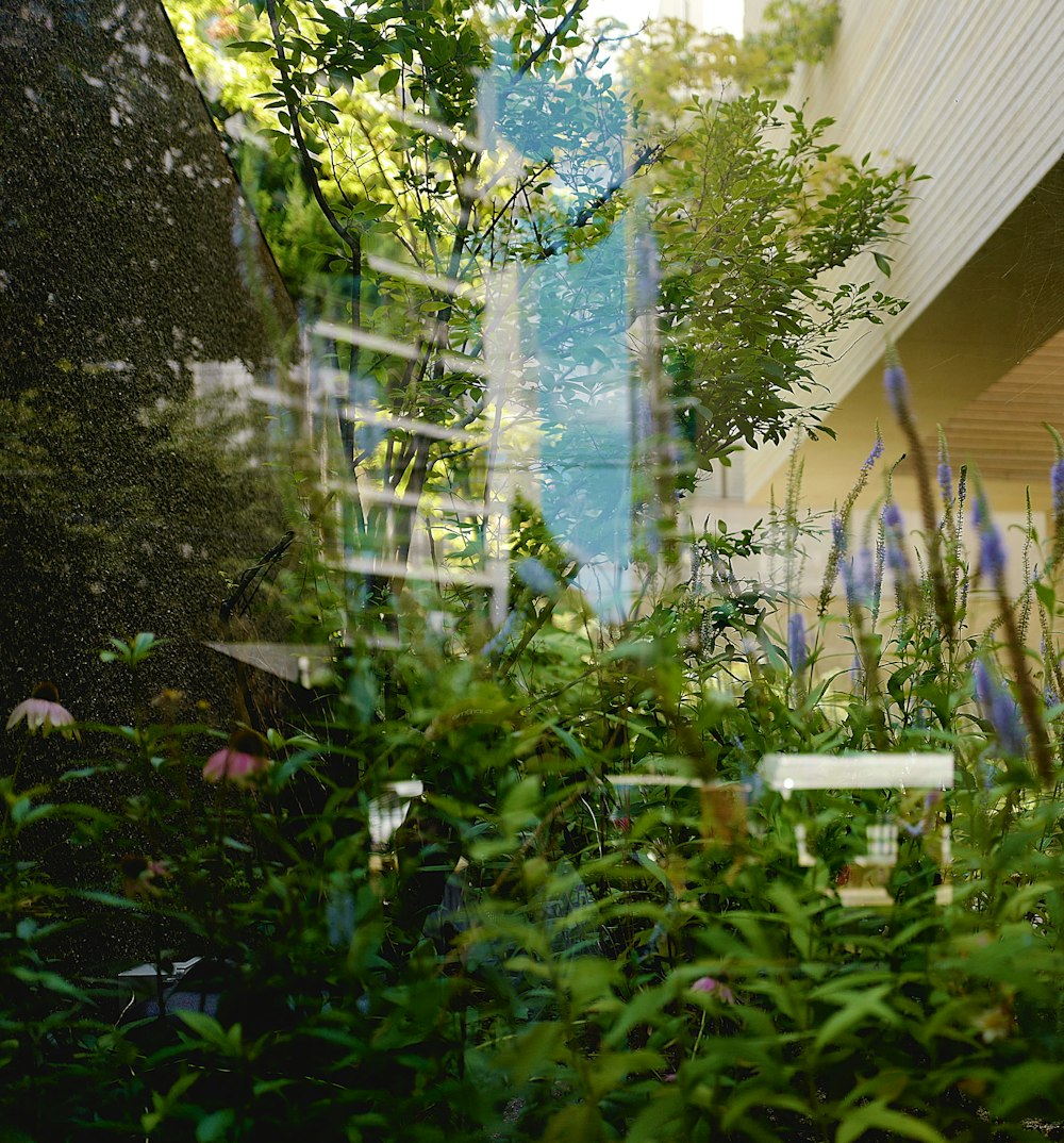 a view of a building through the bushes