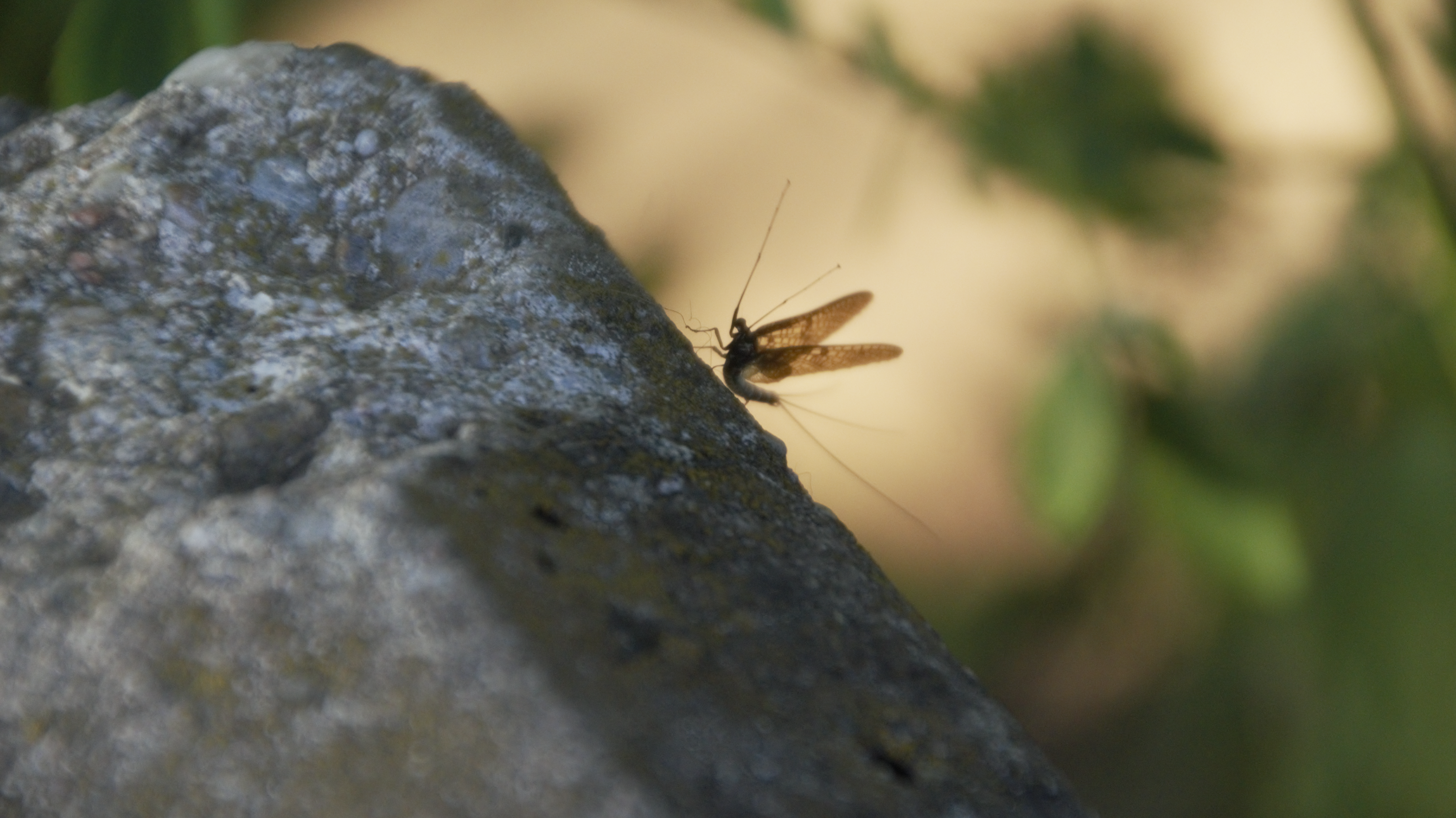 Photo by oldcrowpictures