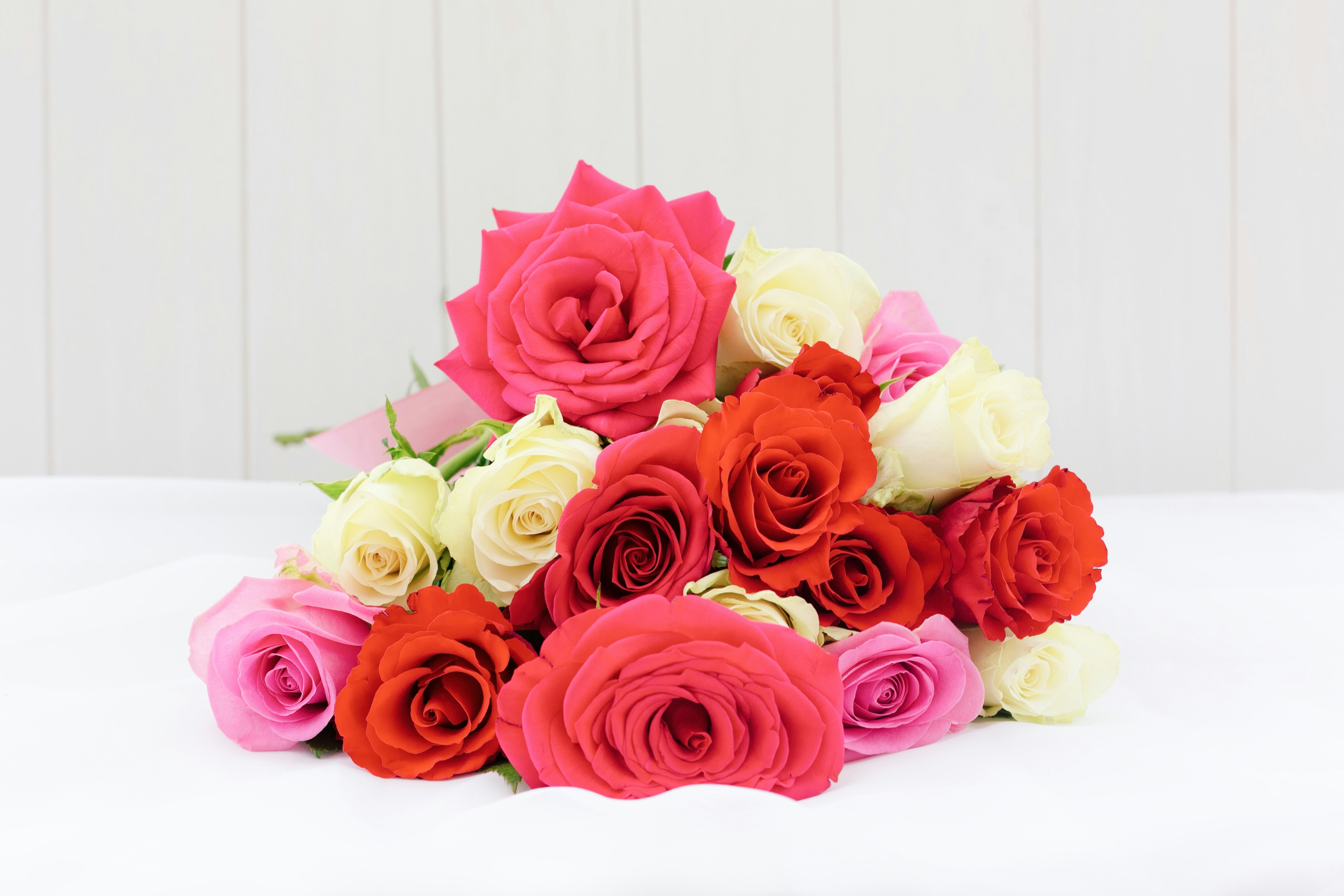 a bouquet of multicolored roses on a white surface
