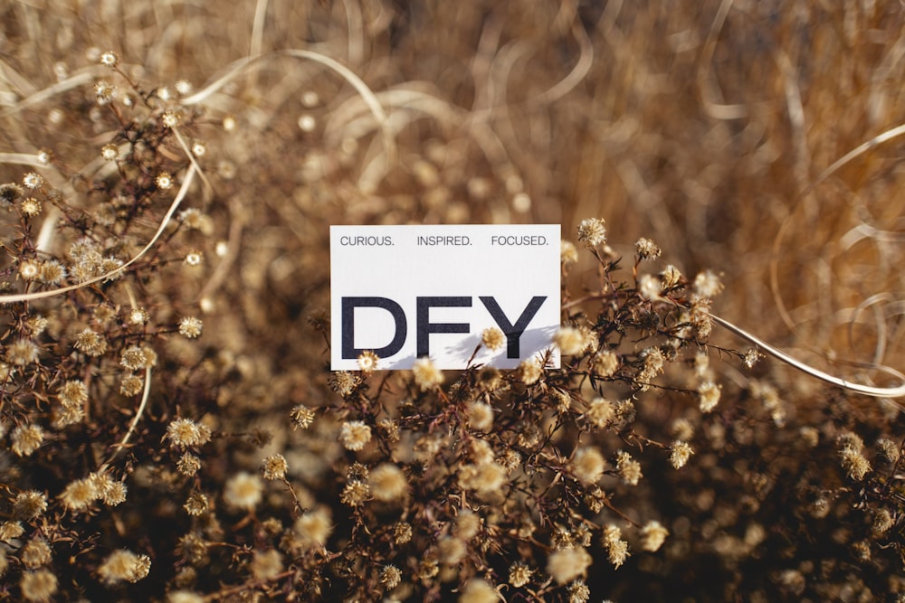 a dry plant with a sign attached to it