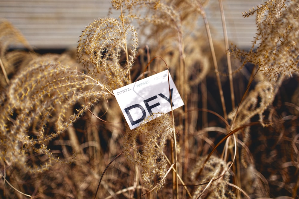 a sign that is on a pole in a field