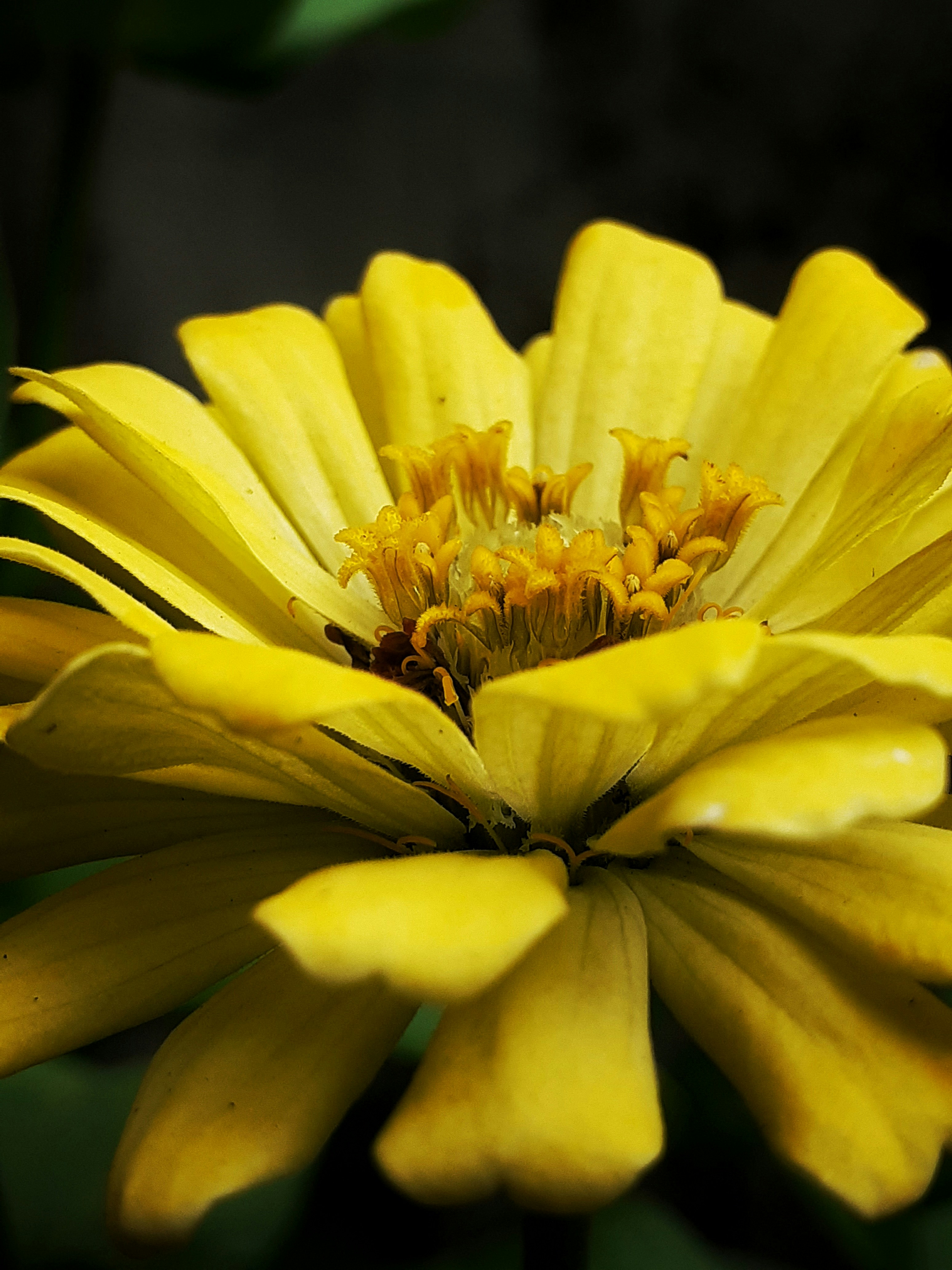 Photo by ahmadkharis