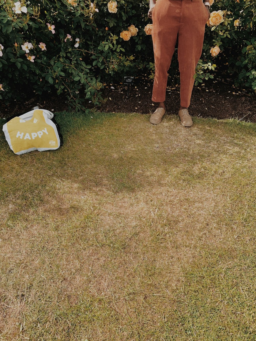 a man standing in front of a bush holding a frisbee