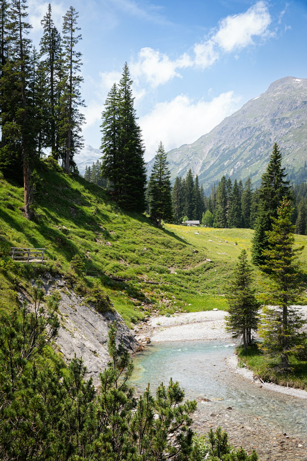 a river running through a lush green hillside