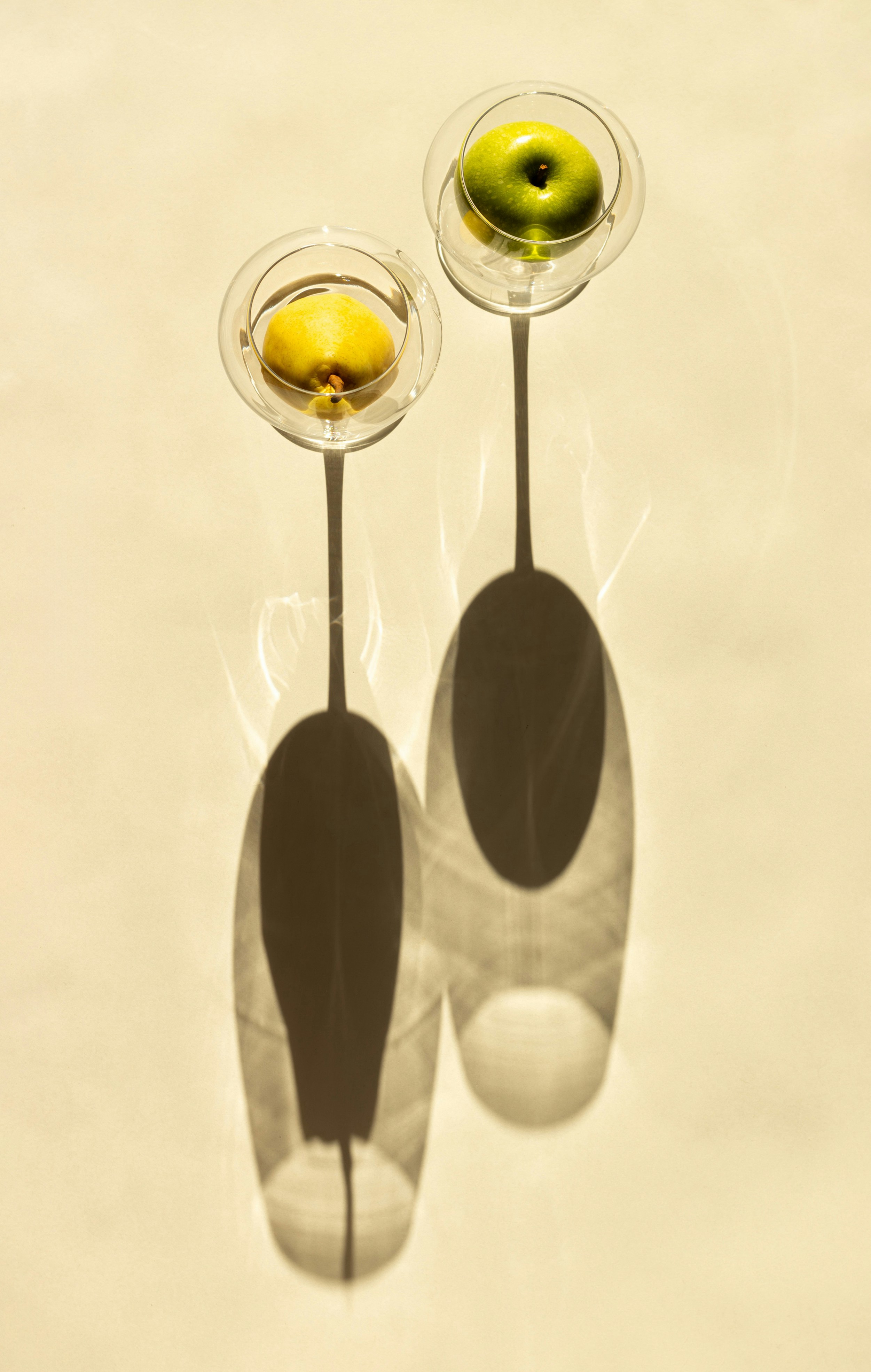 Illustration depicting various olive oil misconceptions being debunked