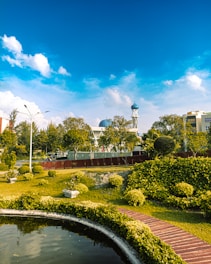 a pond in a park with a clock tower in the background