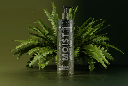 a bottle of water sitting next to a plant