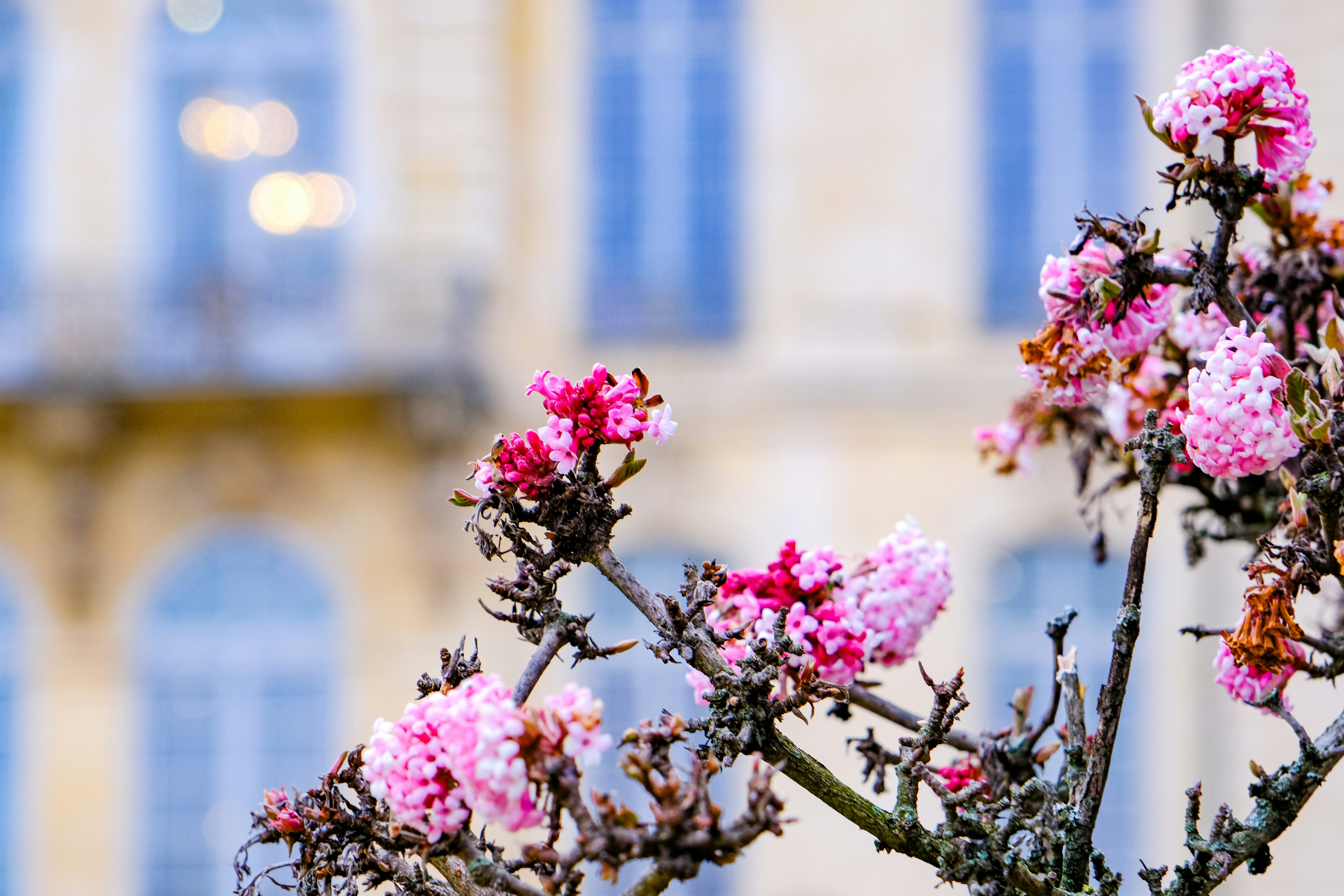 Photo by cestmoisheedy