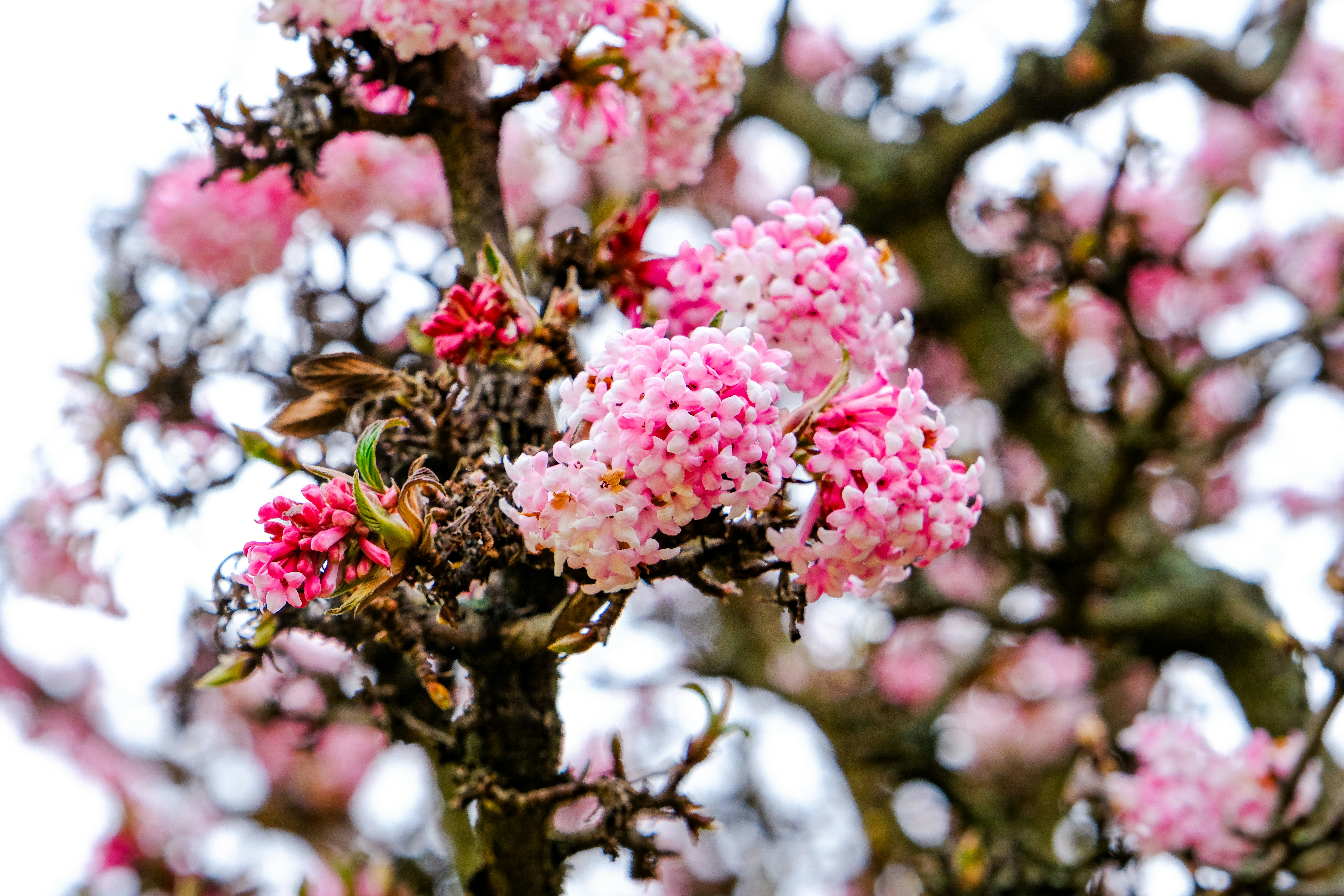 Image by Sarah Sheedy via Unsplash