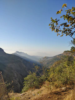 a view of the mountains from the top of a hill