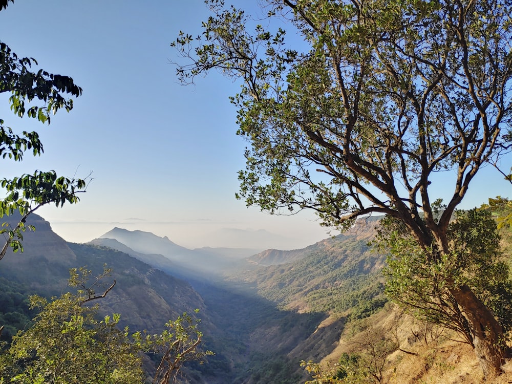 a view of the mountains from a high point of view