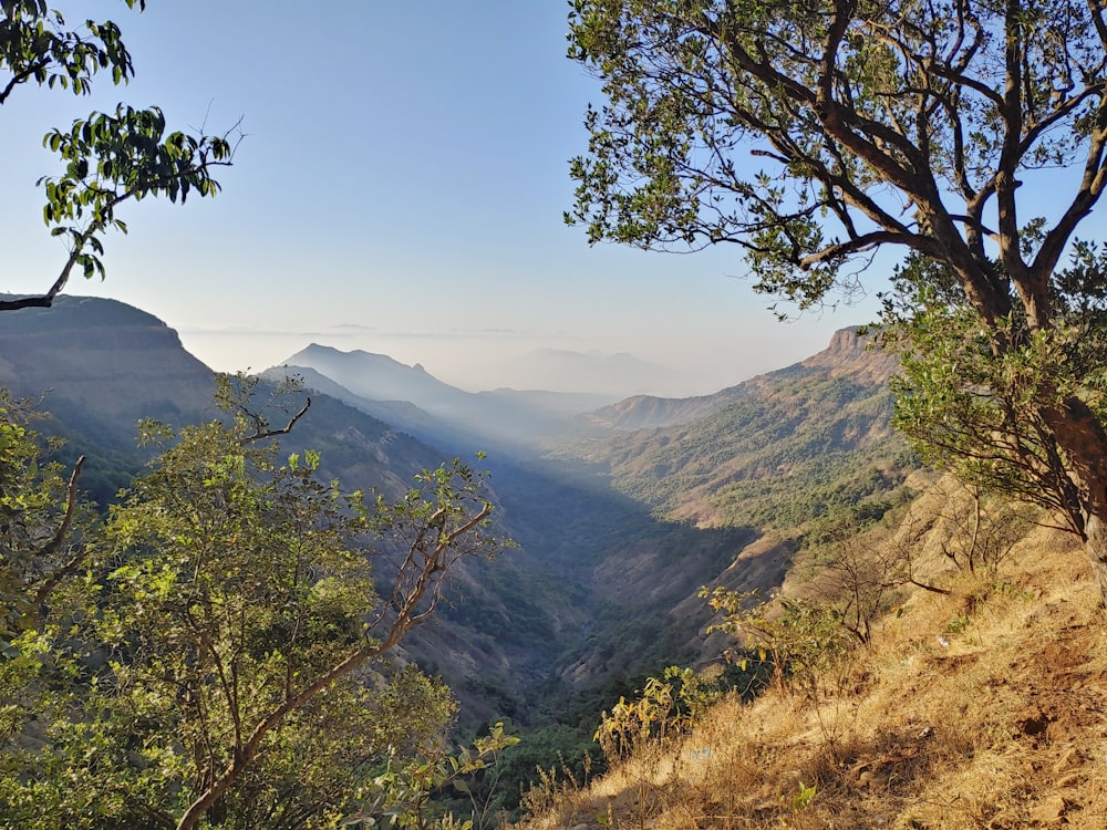 a view of a valley with mountains in the background