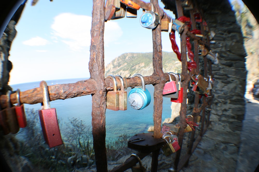 a bunch of locks are hanging on a fence