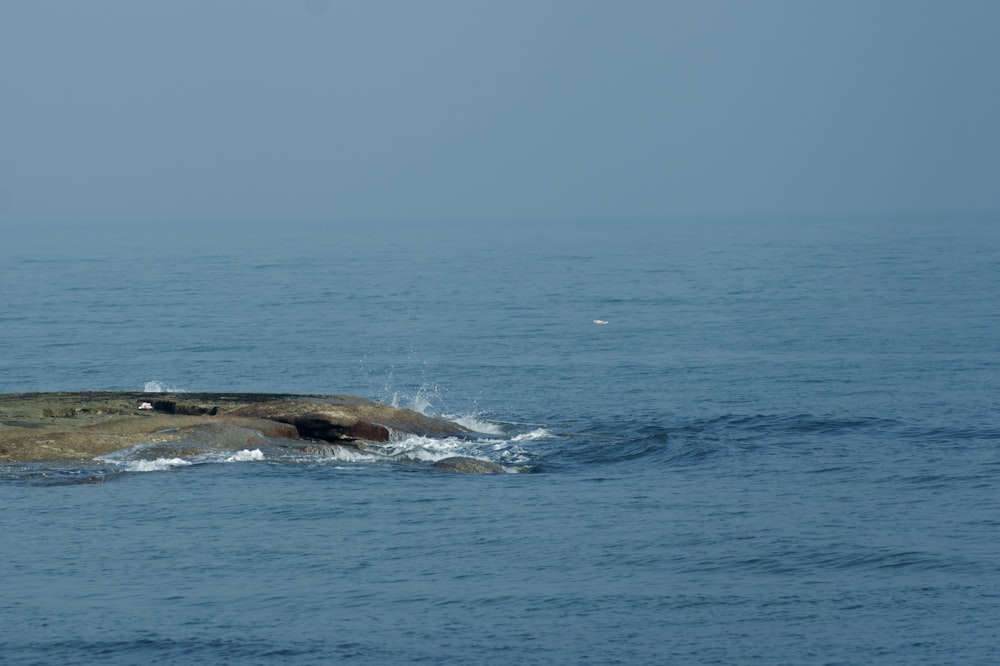 a small island in the middle of the ocean