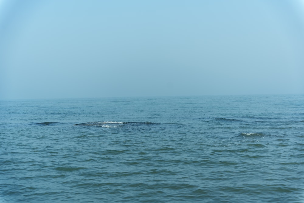 a large body of water with a sky in the background