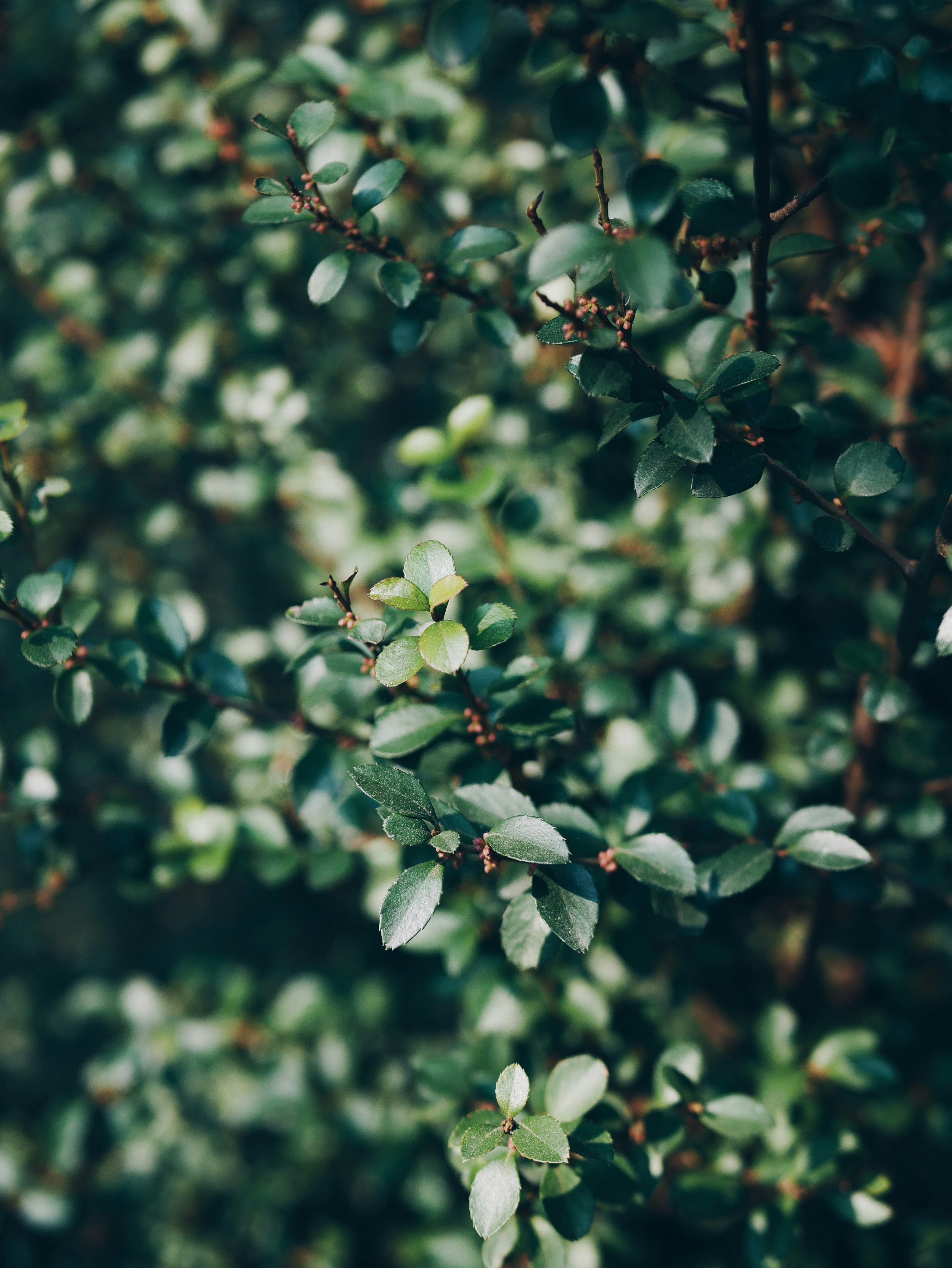 Photo by littleaaandbird