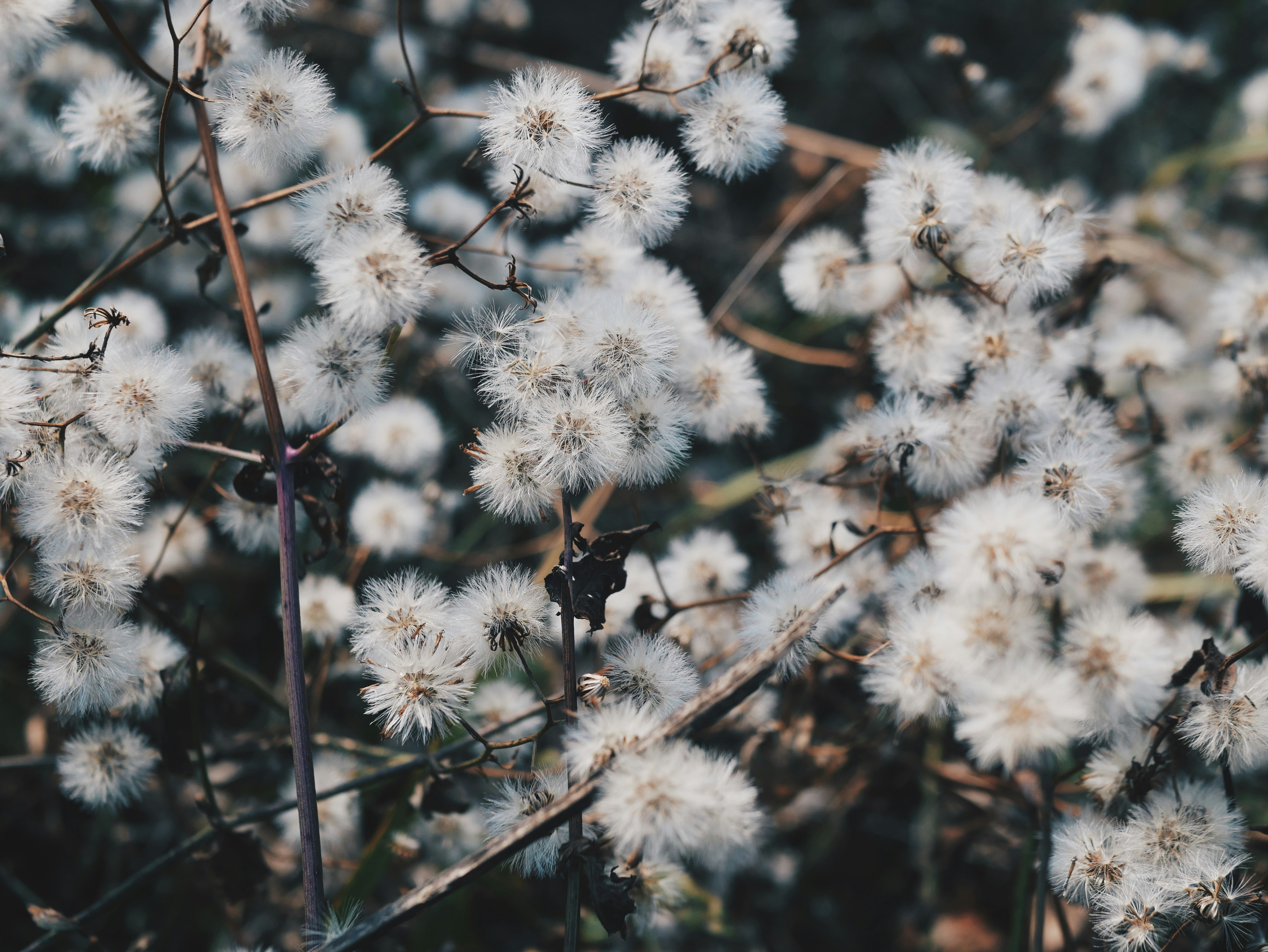 Photo by littleaaandbird