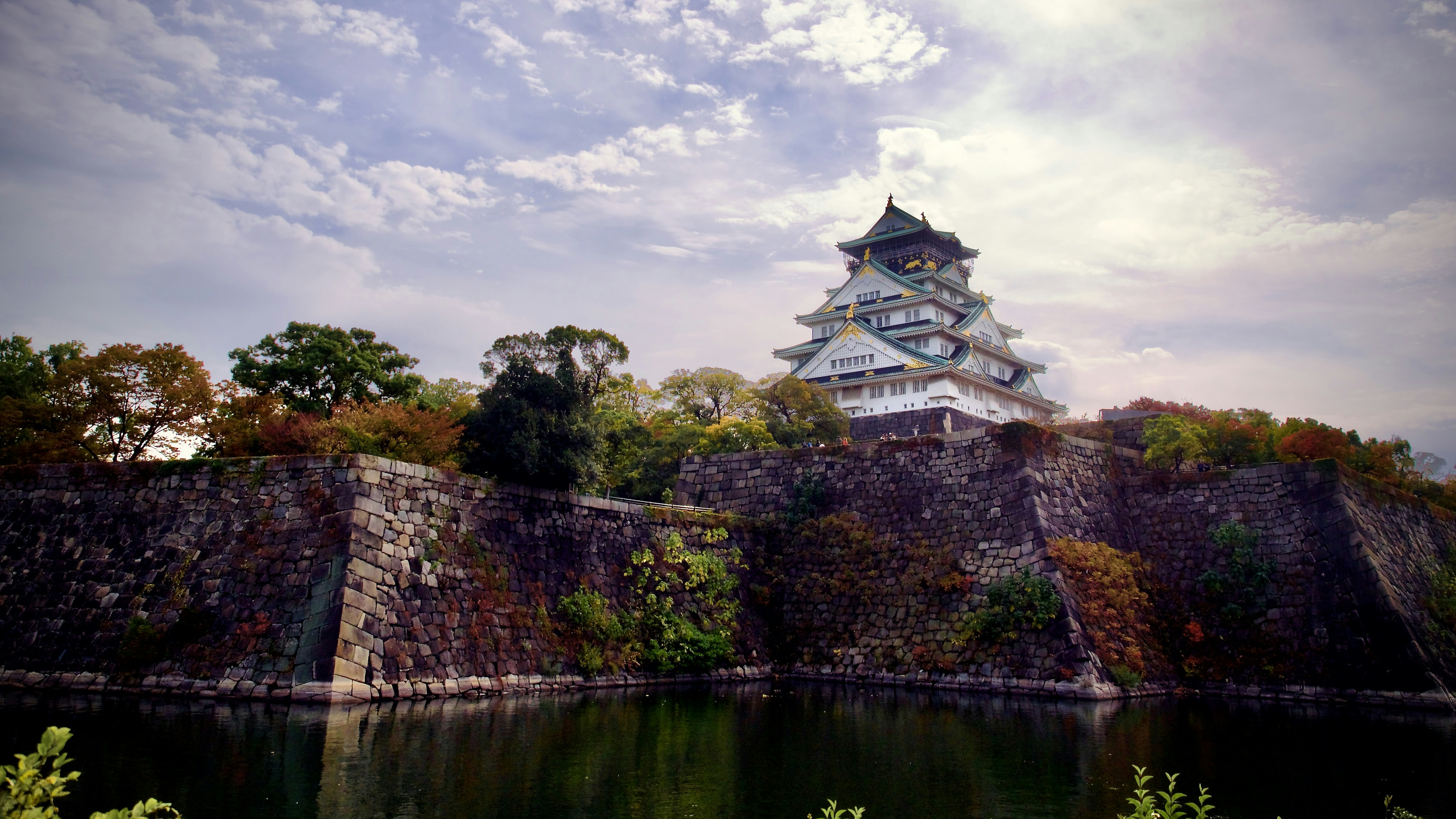 صورة المعرض