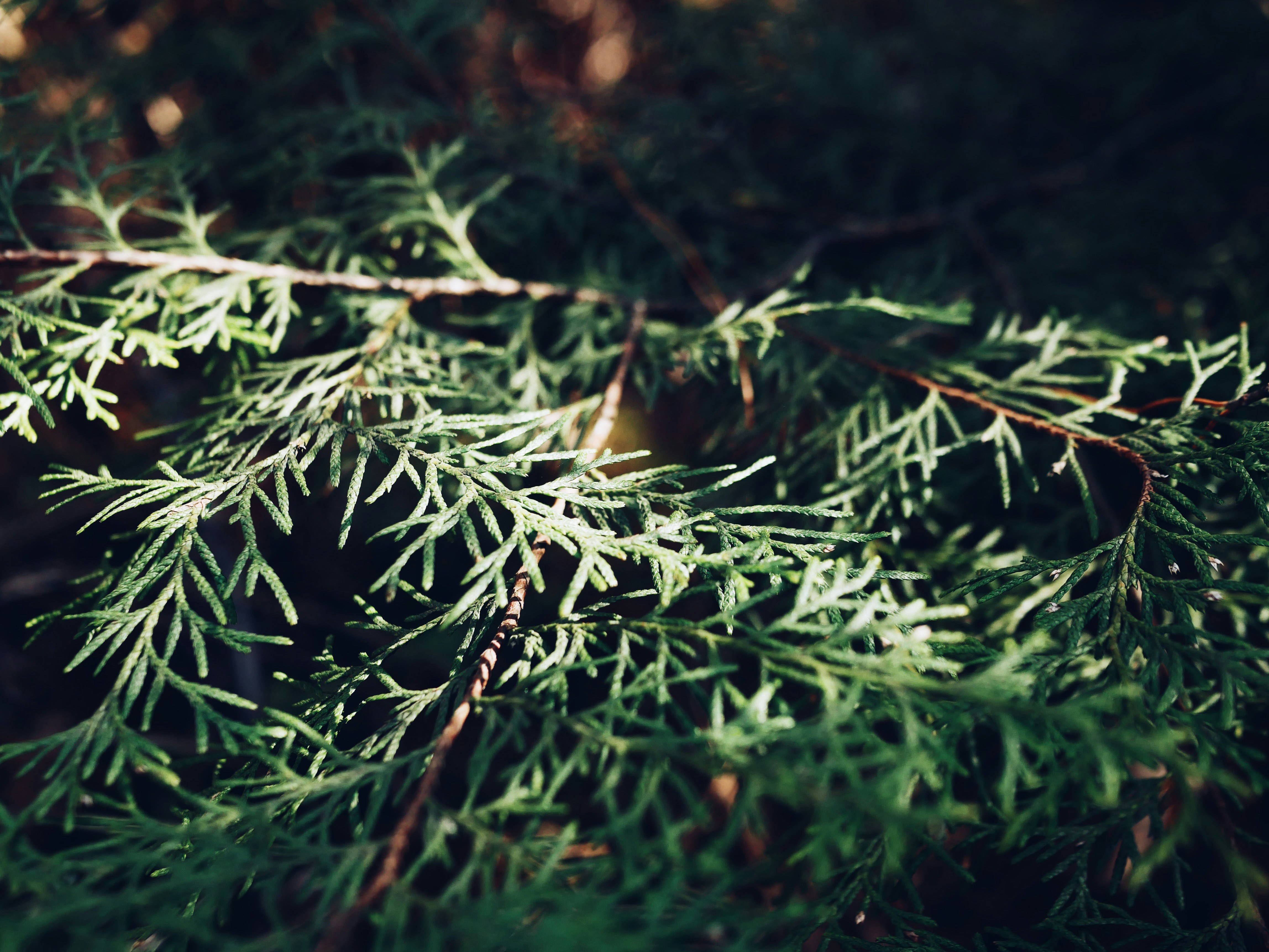 Photo by littleaaandbird