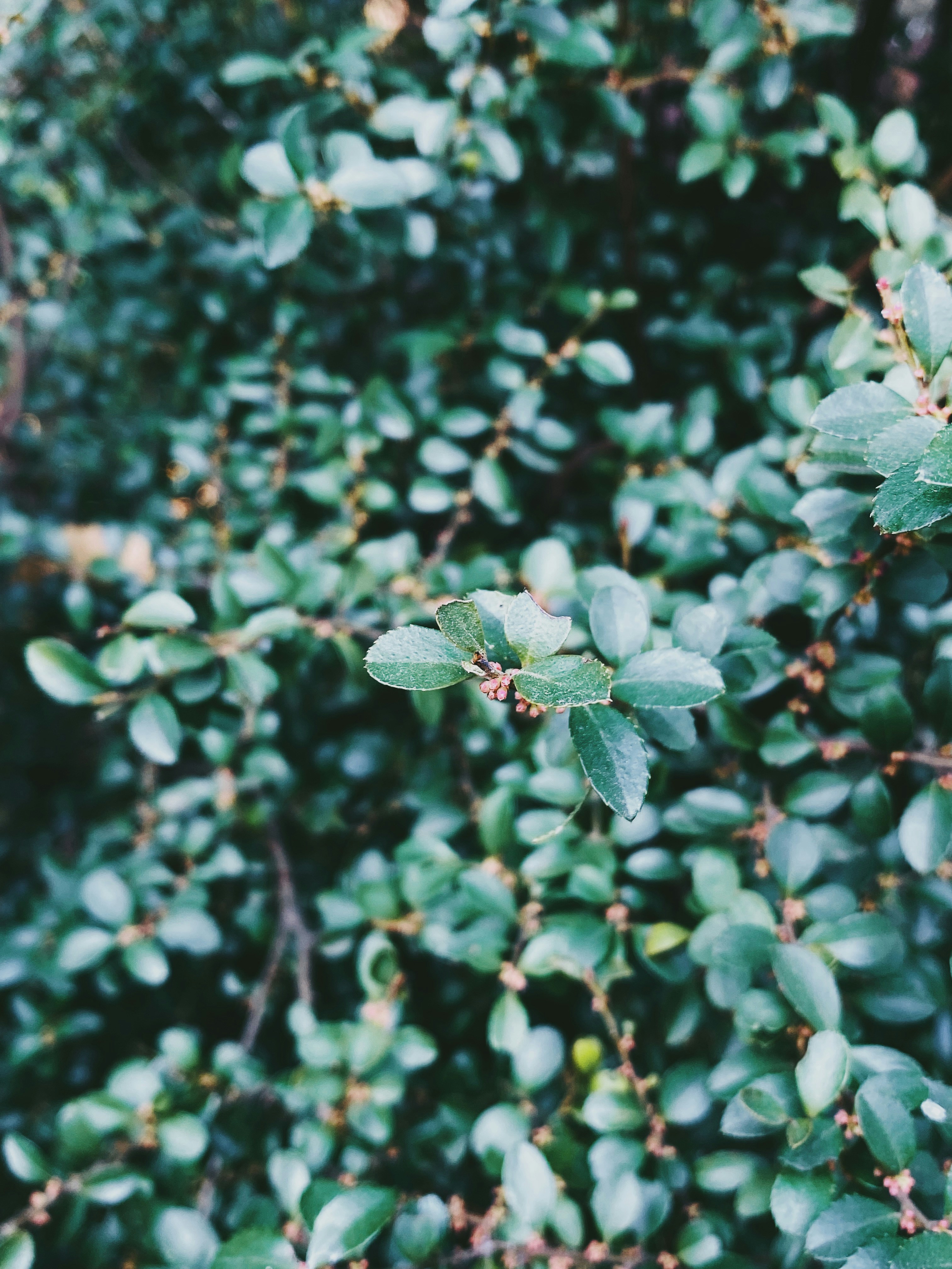 Photo by littleaaandbird