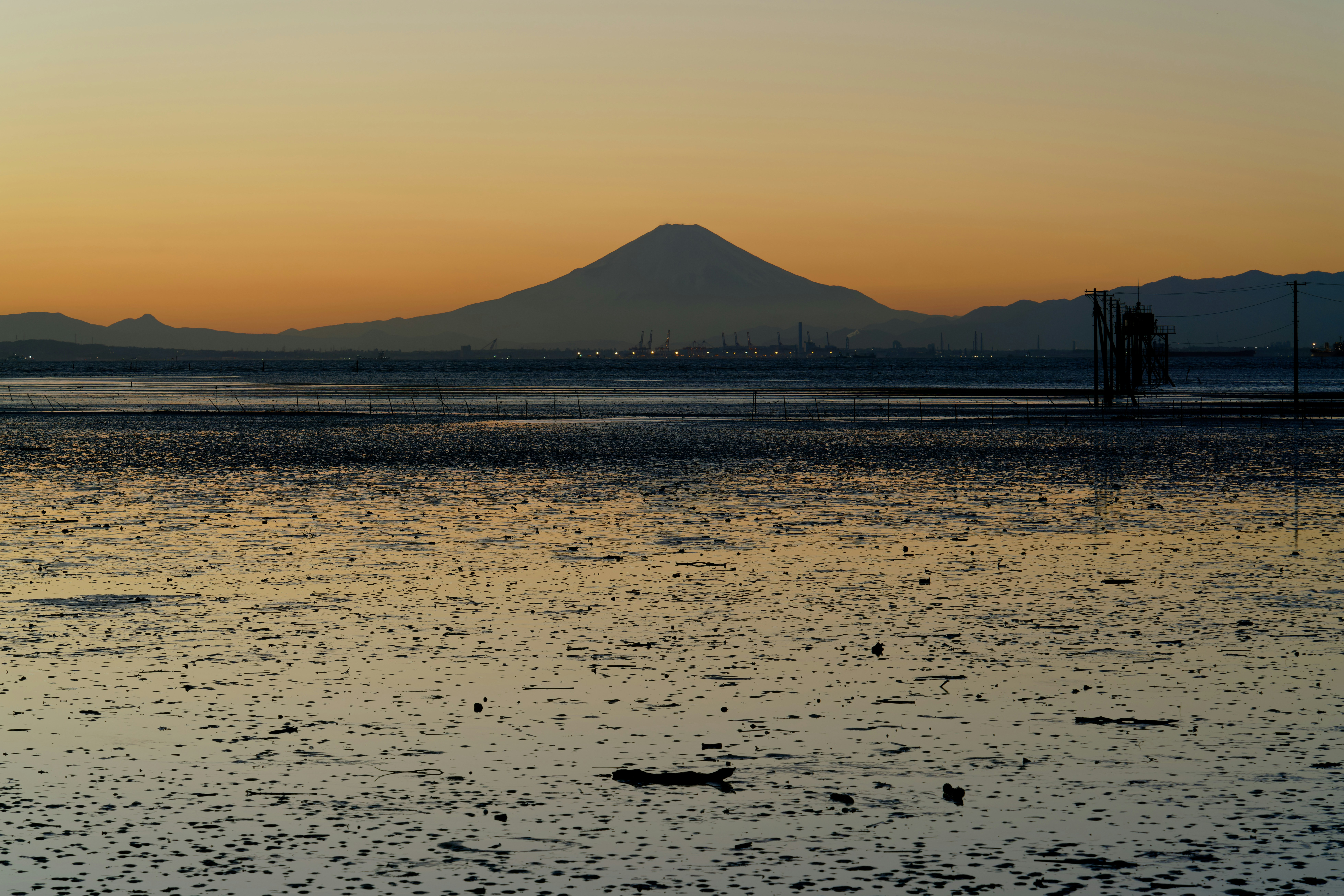 Photo by da_shika_photo