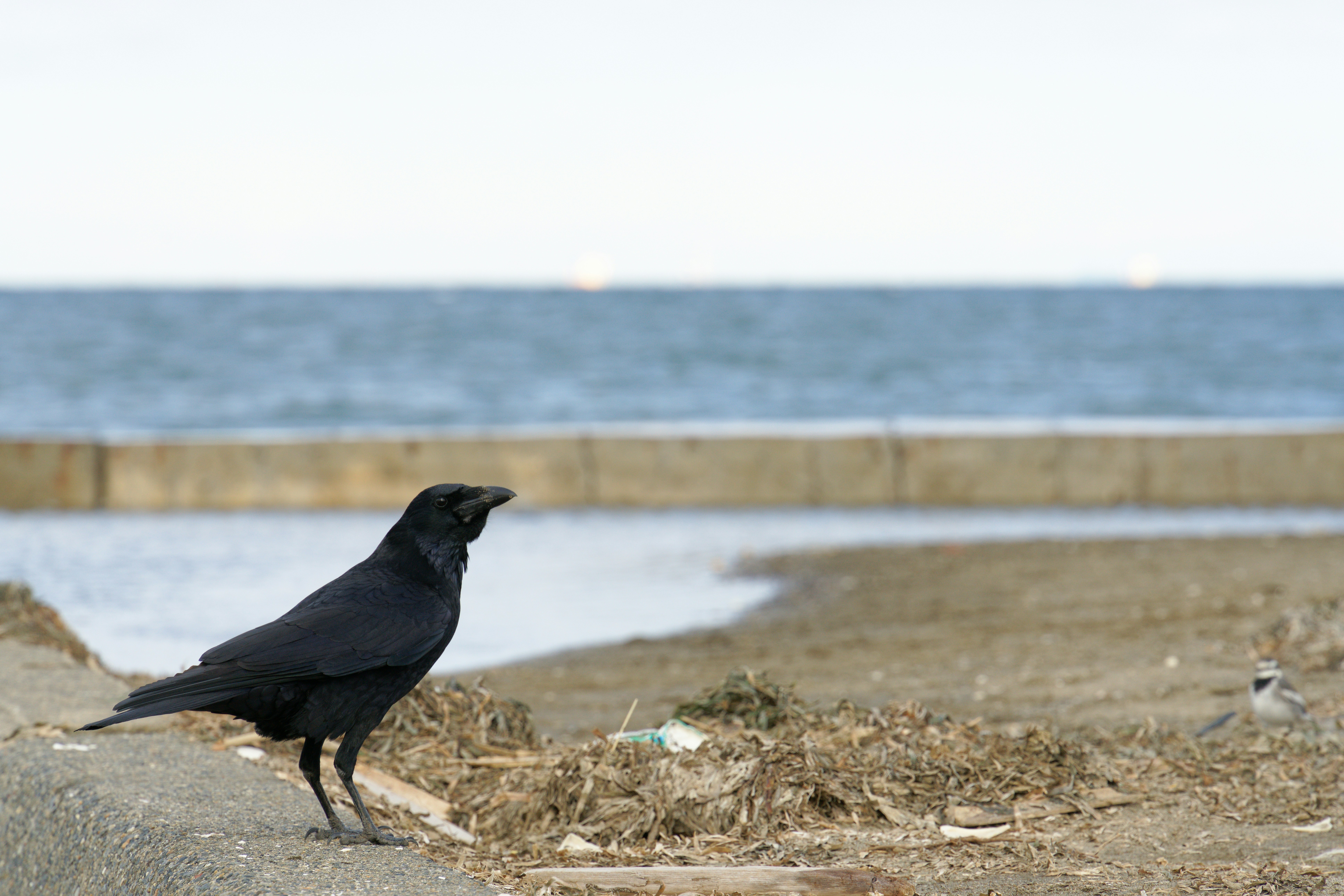 Photo by da_shika_photo