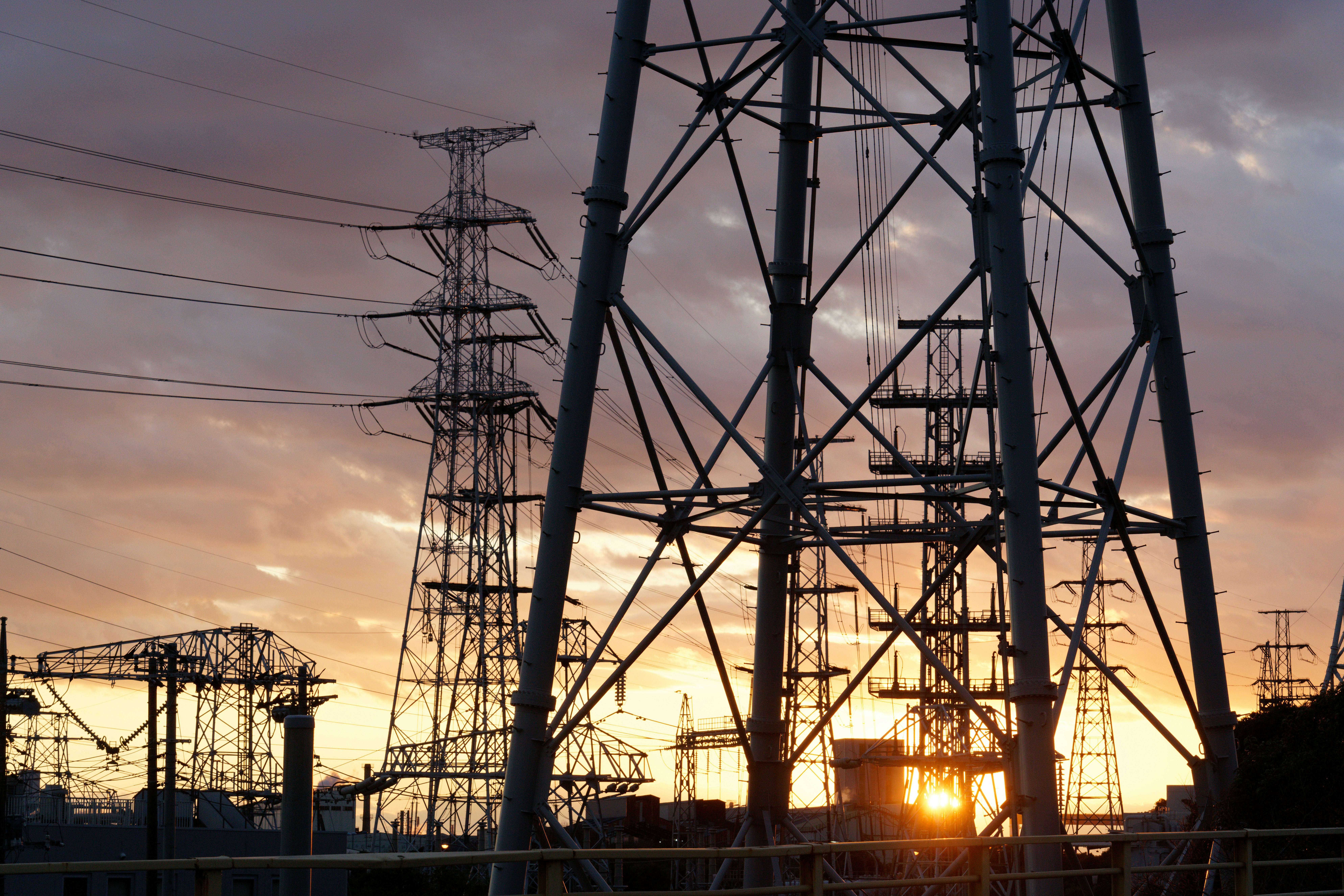 Photo by da_shika_photo