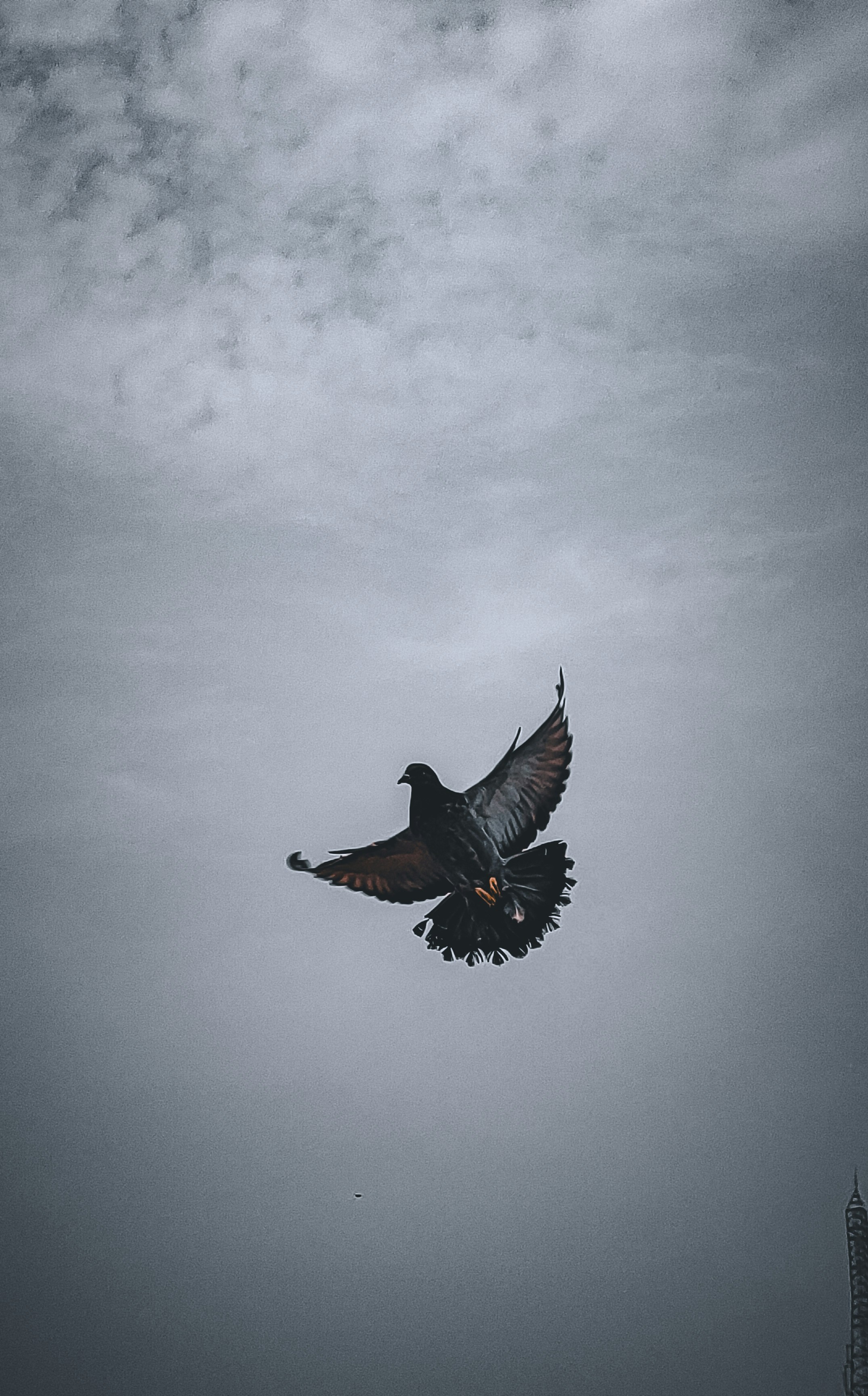 a bird flying through a cloudy sky with a tower in the background